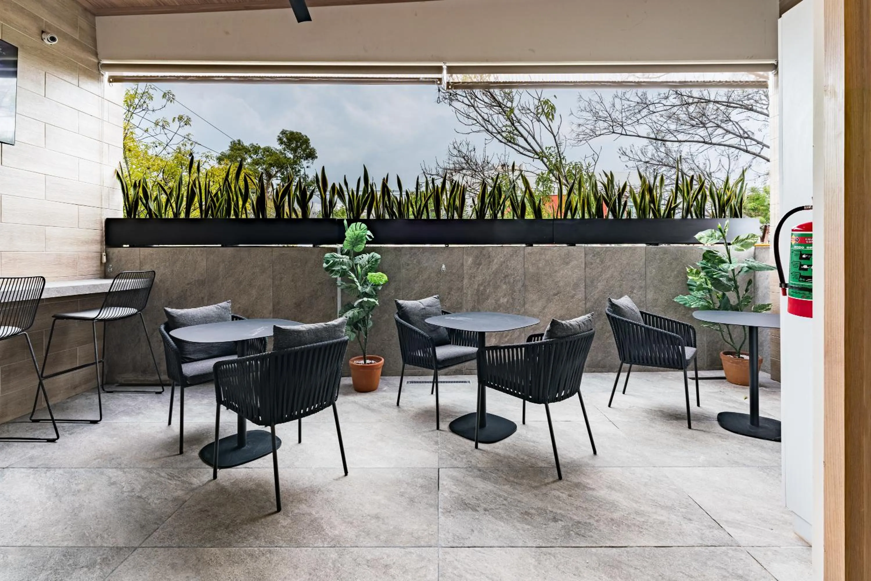 Patio in Suites Monterrey by Escajal Rooms
