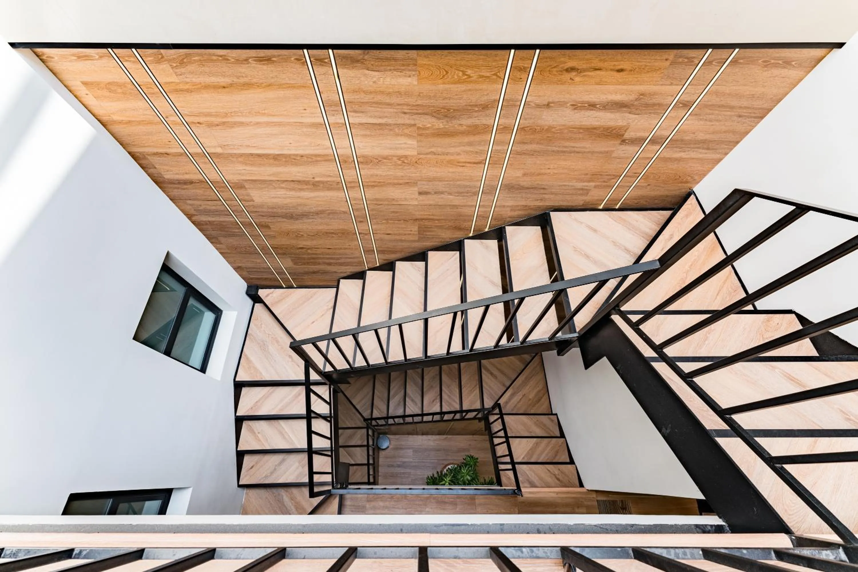 Area and facilities in Suites Monterrey by Escajal Rooms