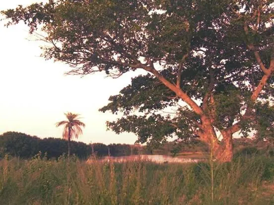 The Gunjur Project Lodge