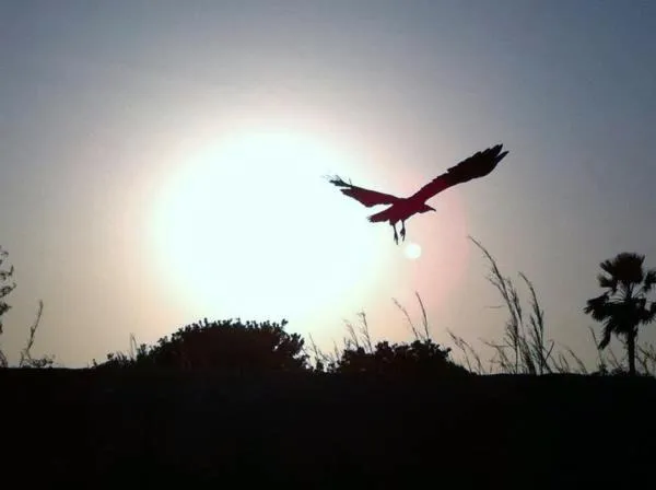 The Gunjur Project Lodge