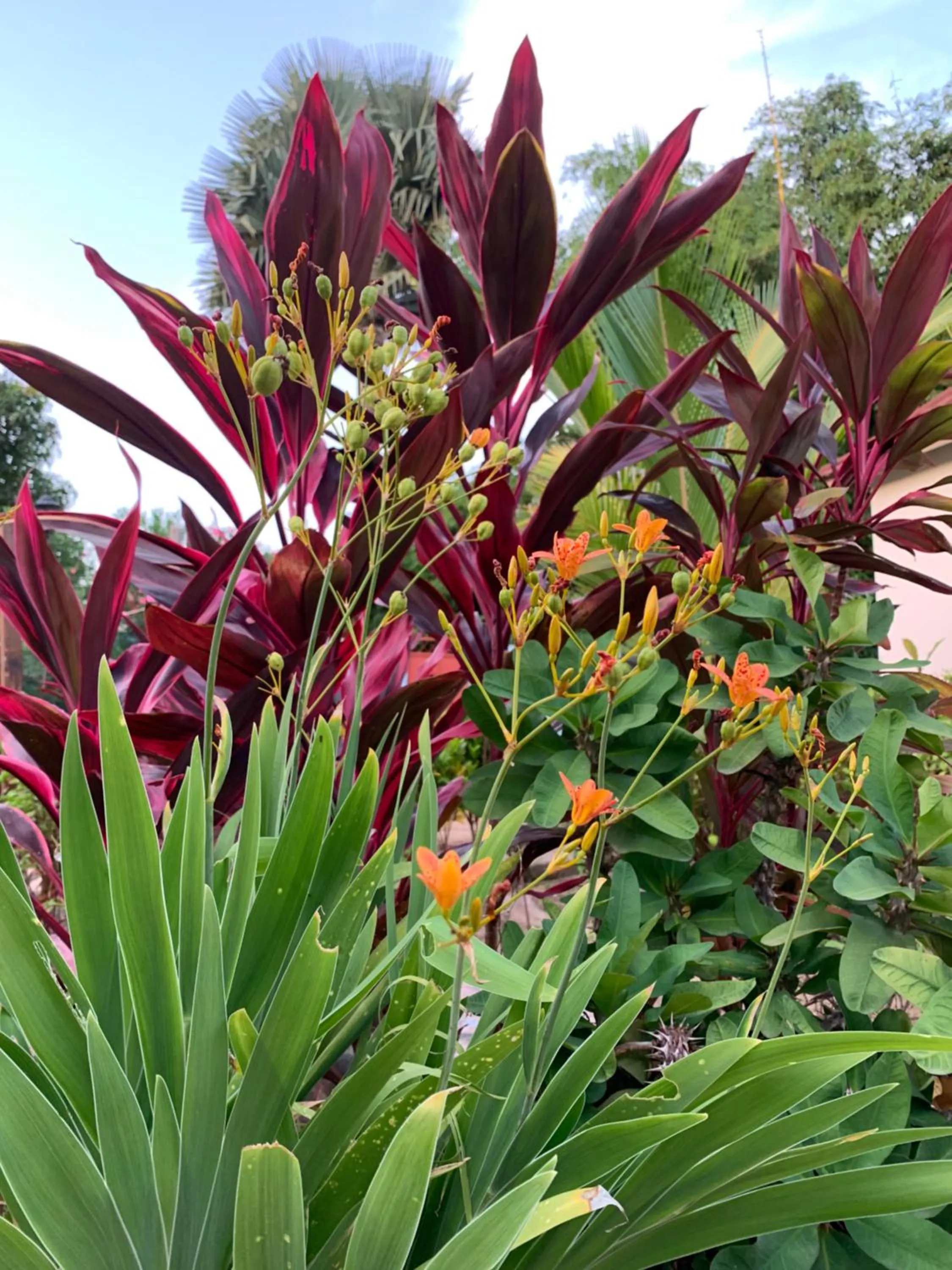 The Gunjur Project Lodge