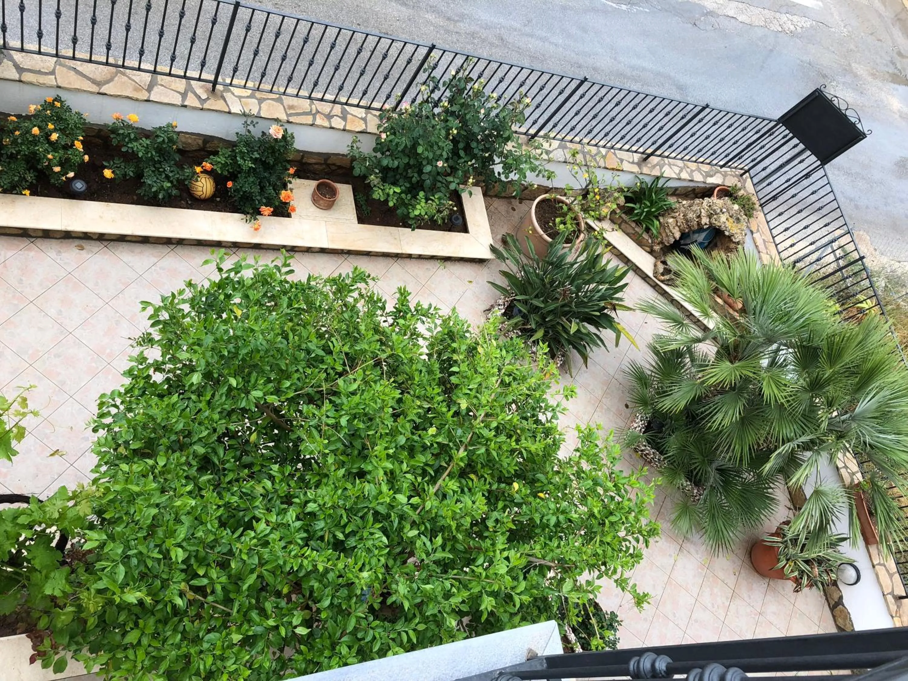 Garden in El Nur Bed & Breakfast