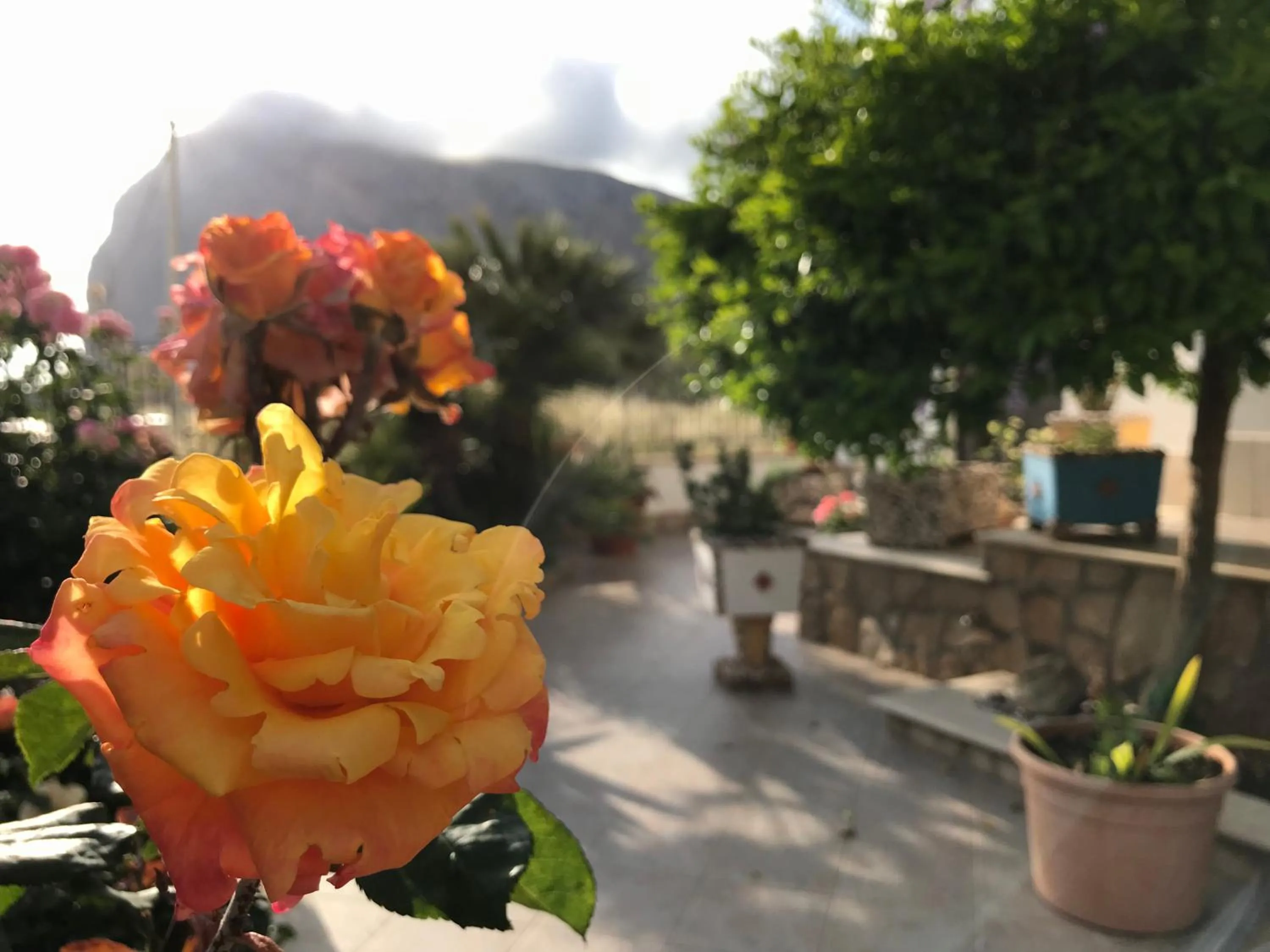 Garden in El Nur Bed & Breakfast