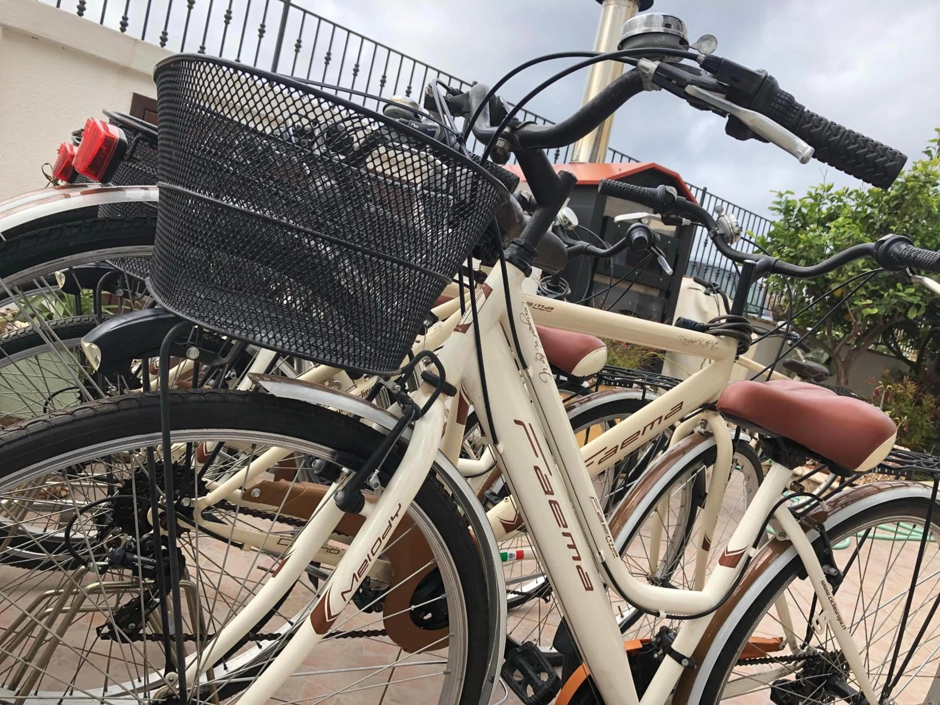 Cycling in El Nur Bed & Breakfast