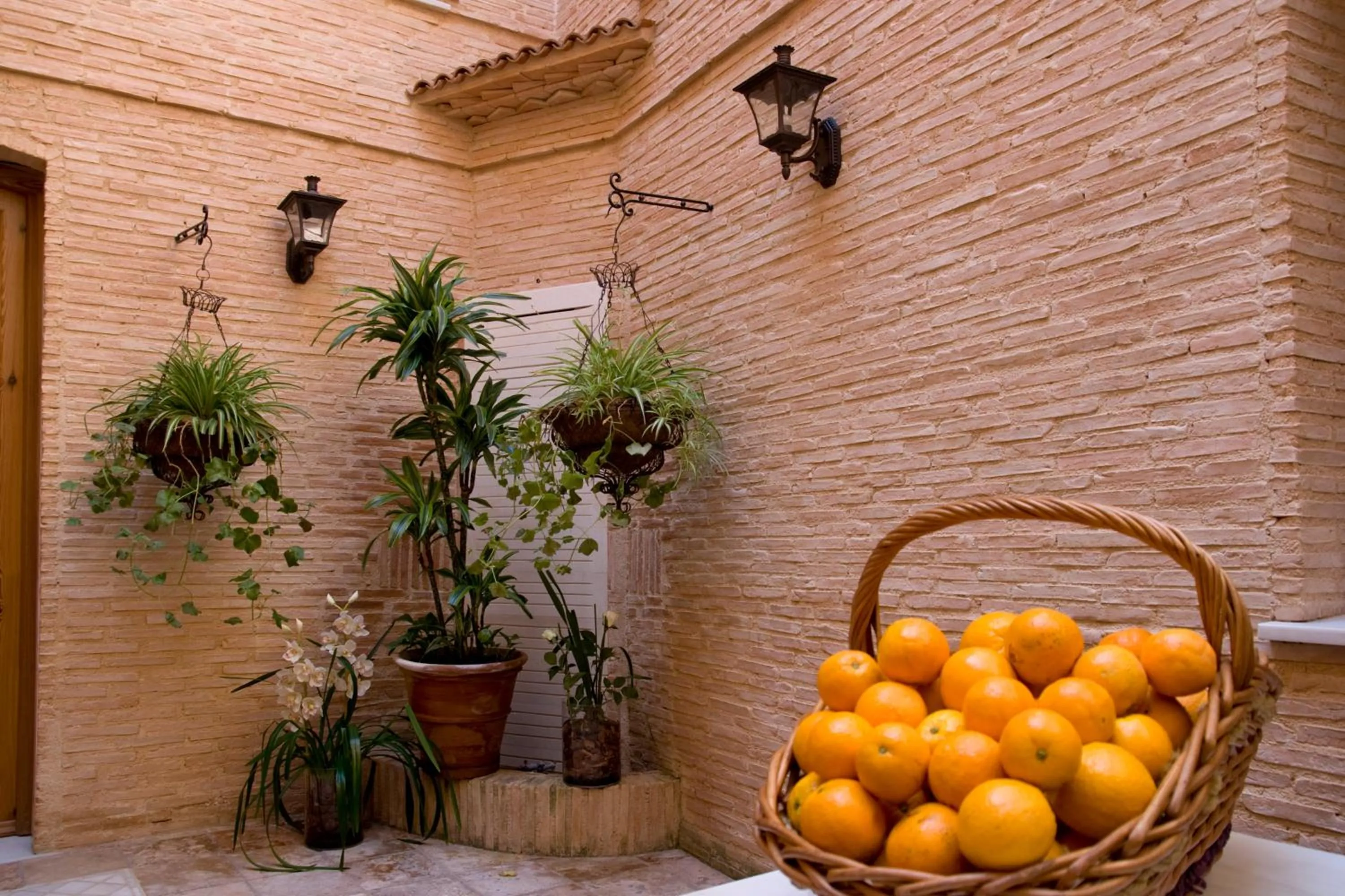 Balcony/Terrace in Hotel Casa Babel