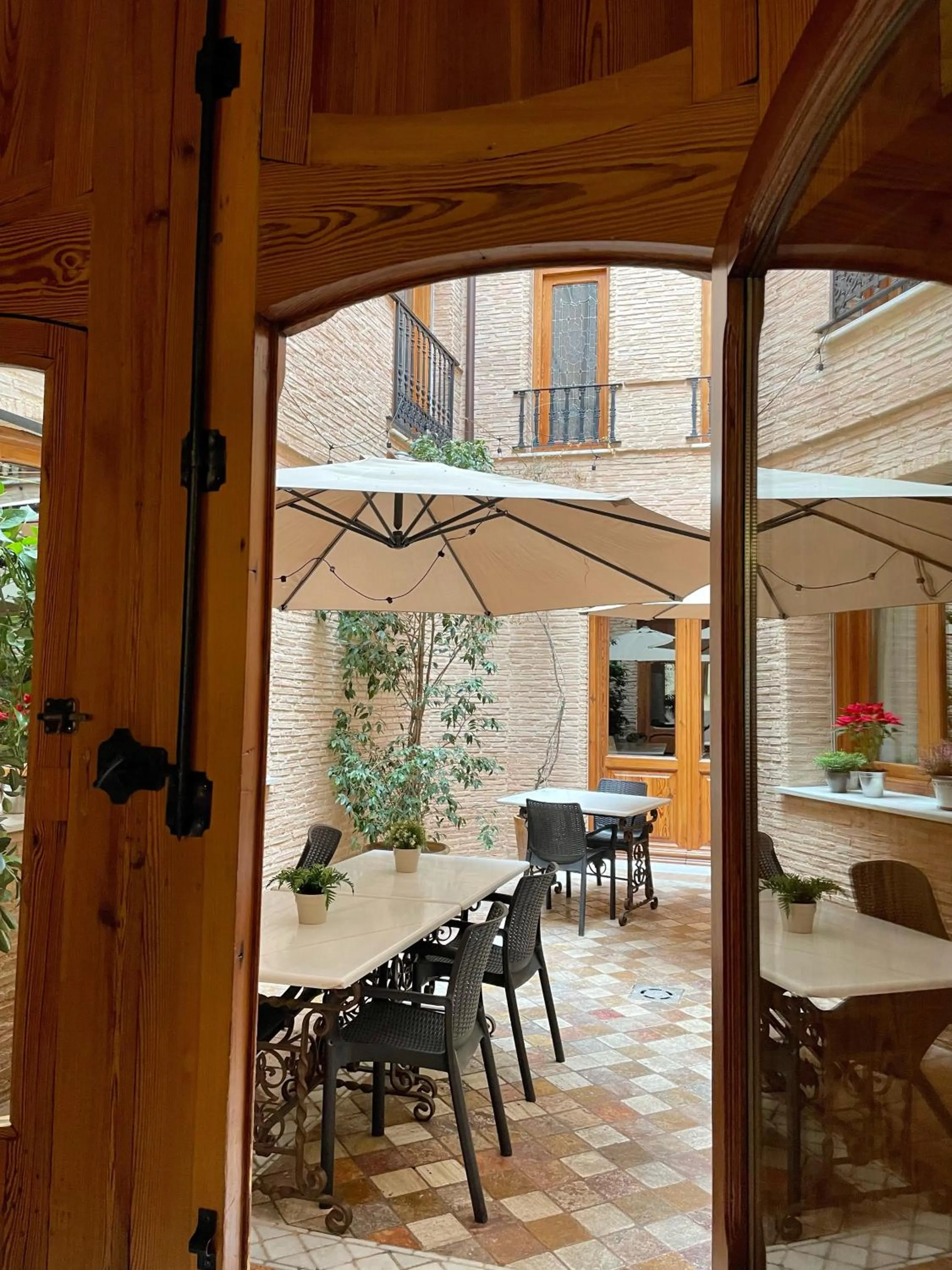 Balcony/Terrace in Hotel Casa Babel