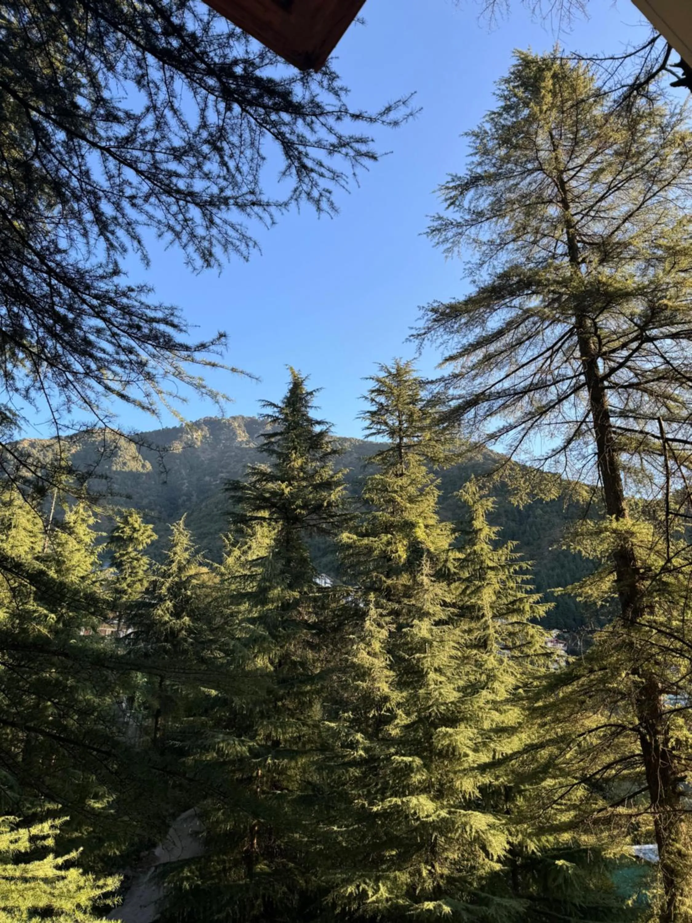 Mountain view in Mastiff Select Mandavya Dharamkot, McLeodganj