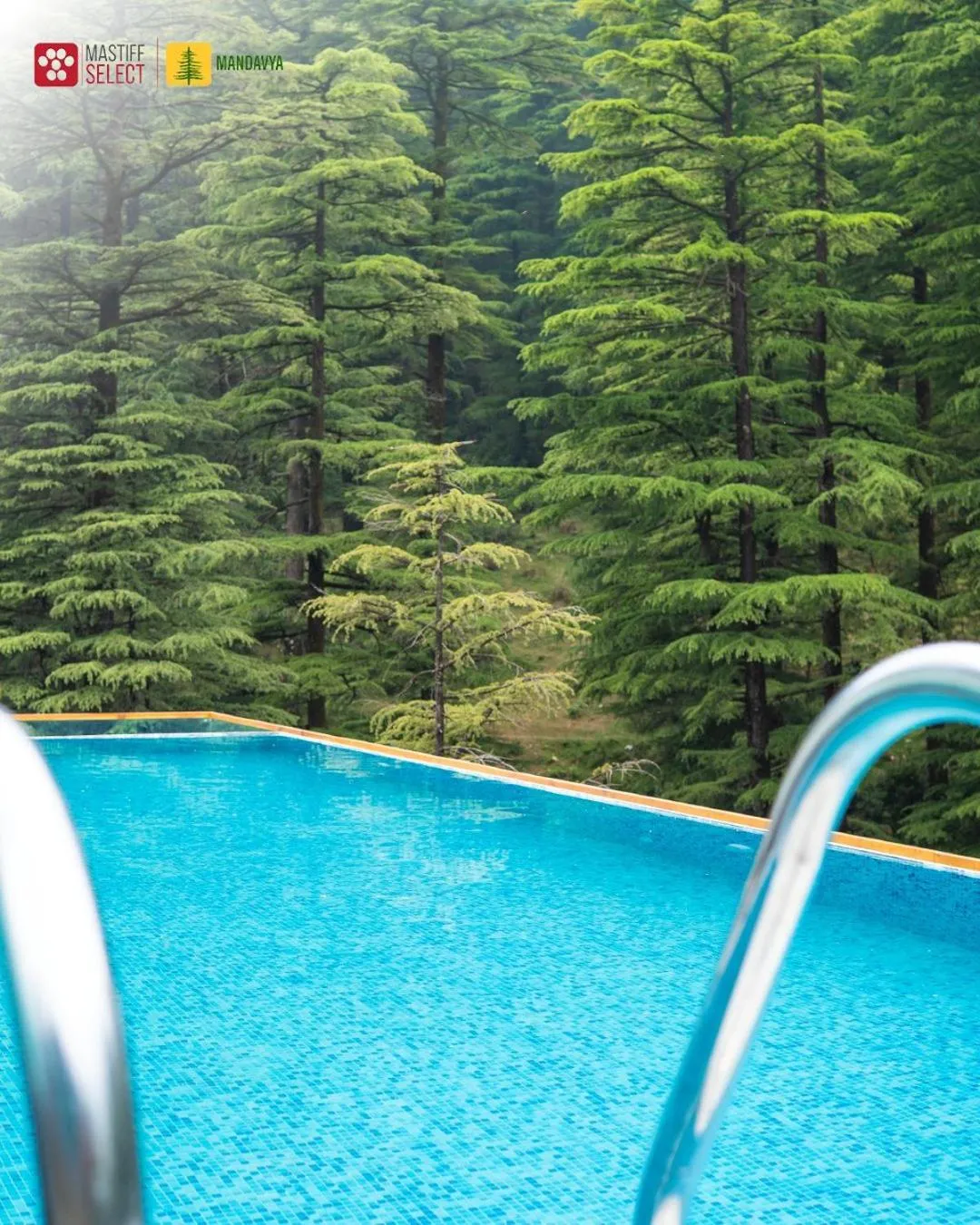Swimming pool in Mastiff Select Mandavya Dharamkot, McLeodganj