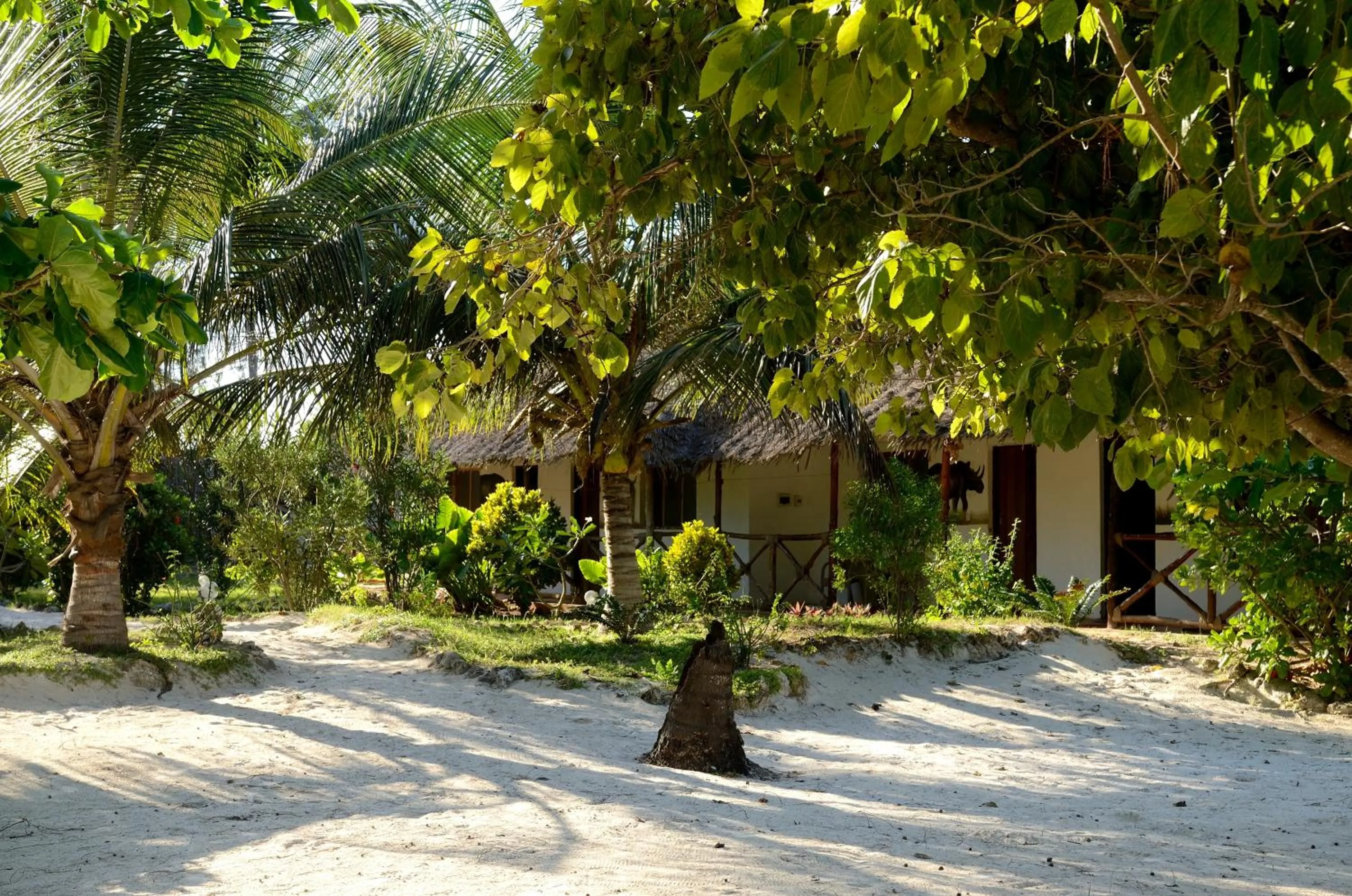 Facade/entrance in Kaure Sand Beach Lodge