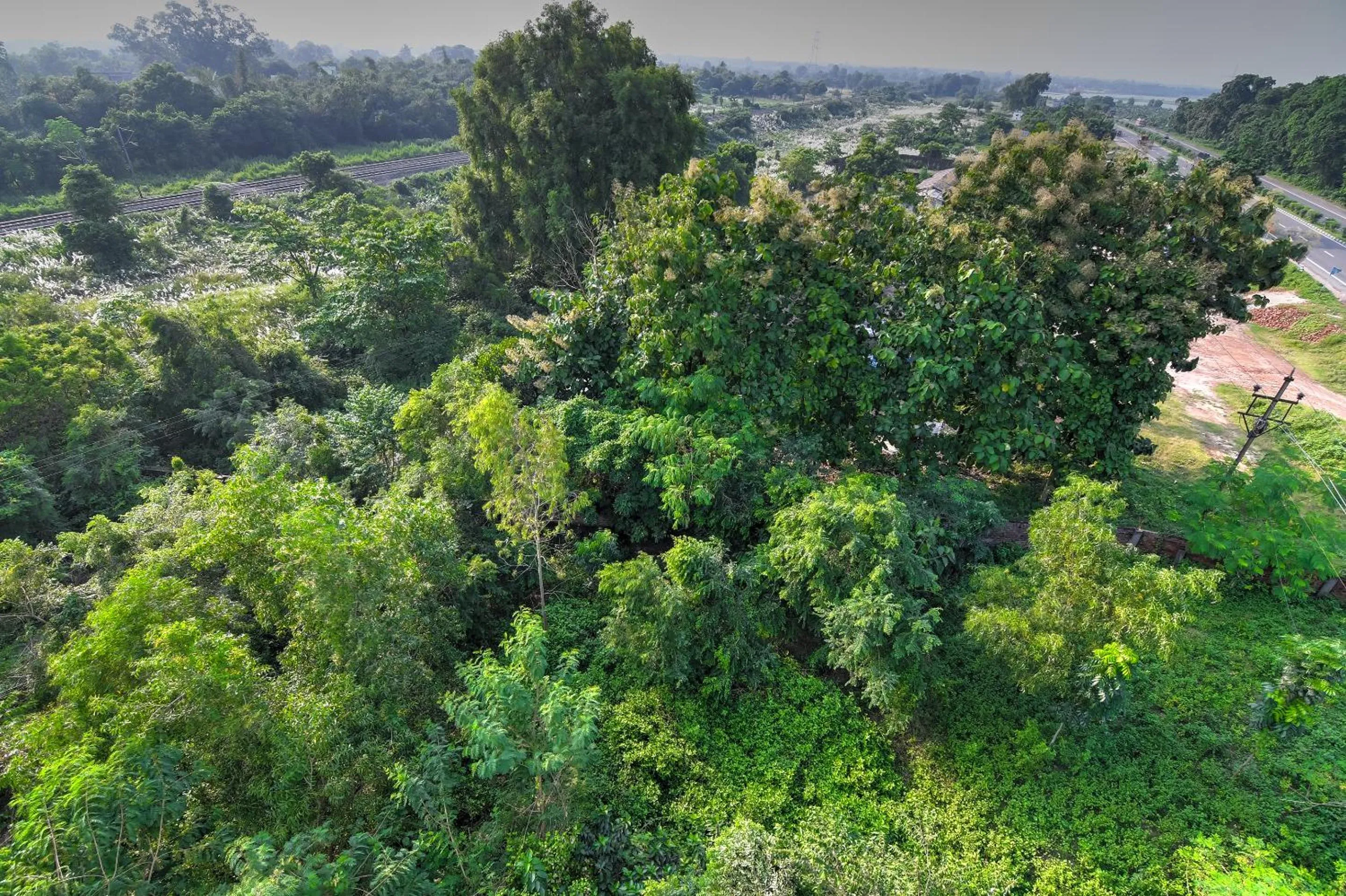 View (from property/room) in Hotel Nilachal