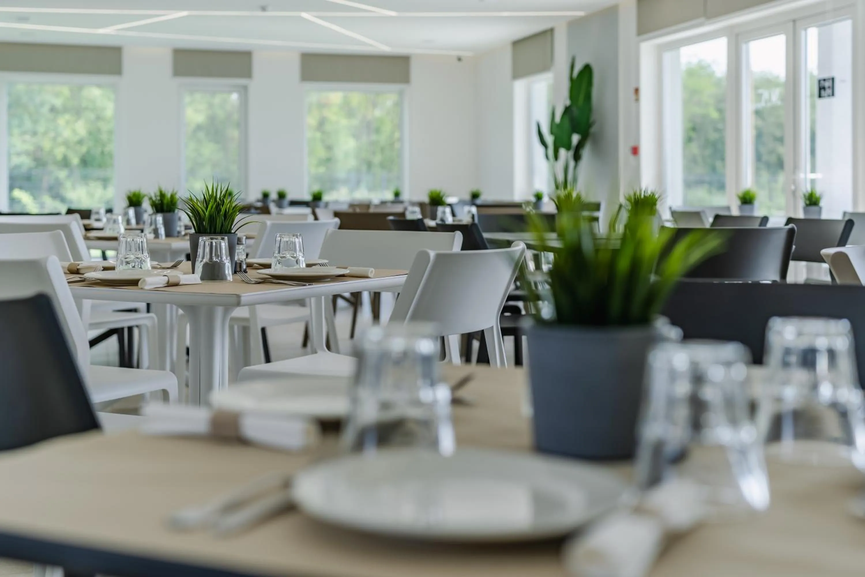 Breakfast in Noa Panzio