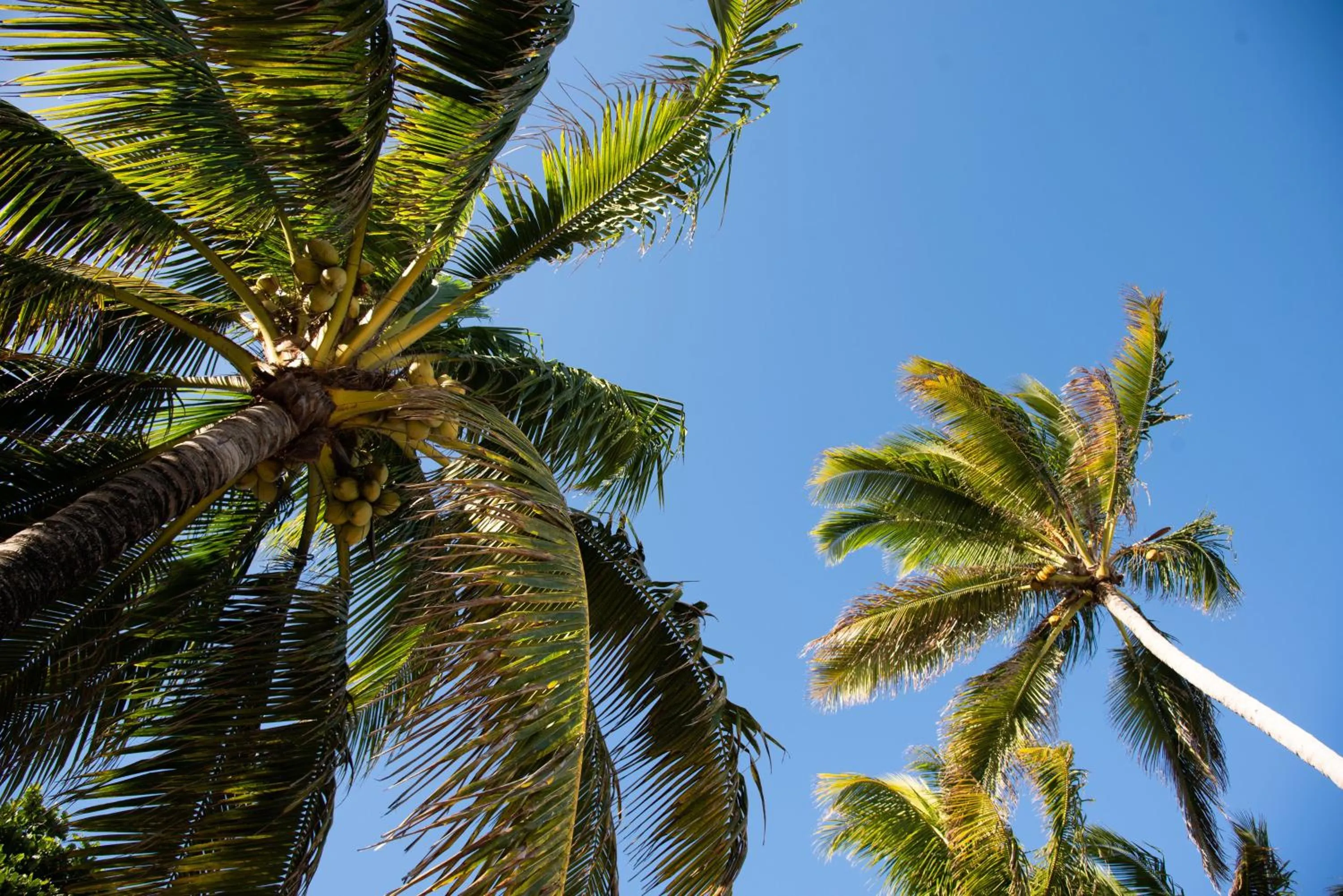 Sea view in Colibri Beach Villas