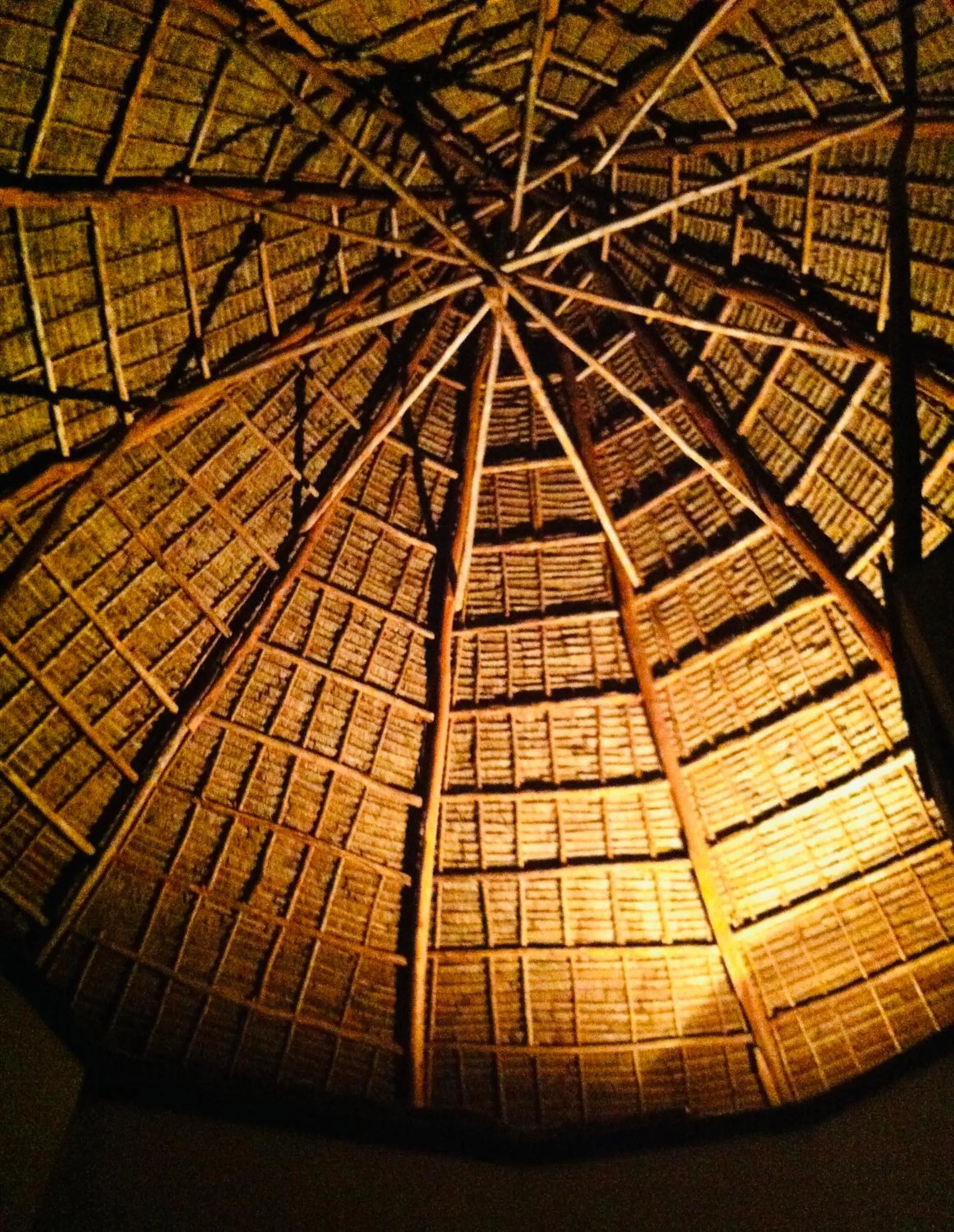 Property building in Casa Umoja