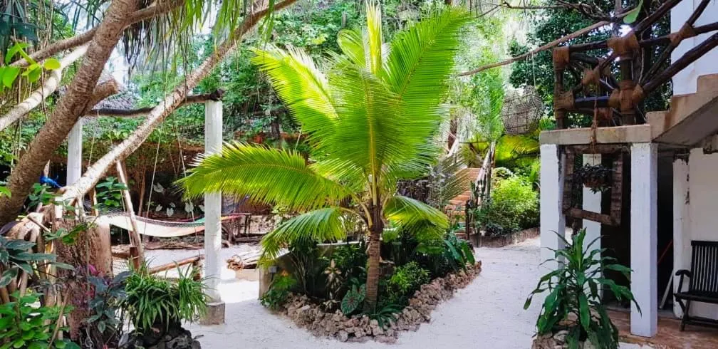 Garden in Casa Umoja