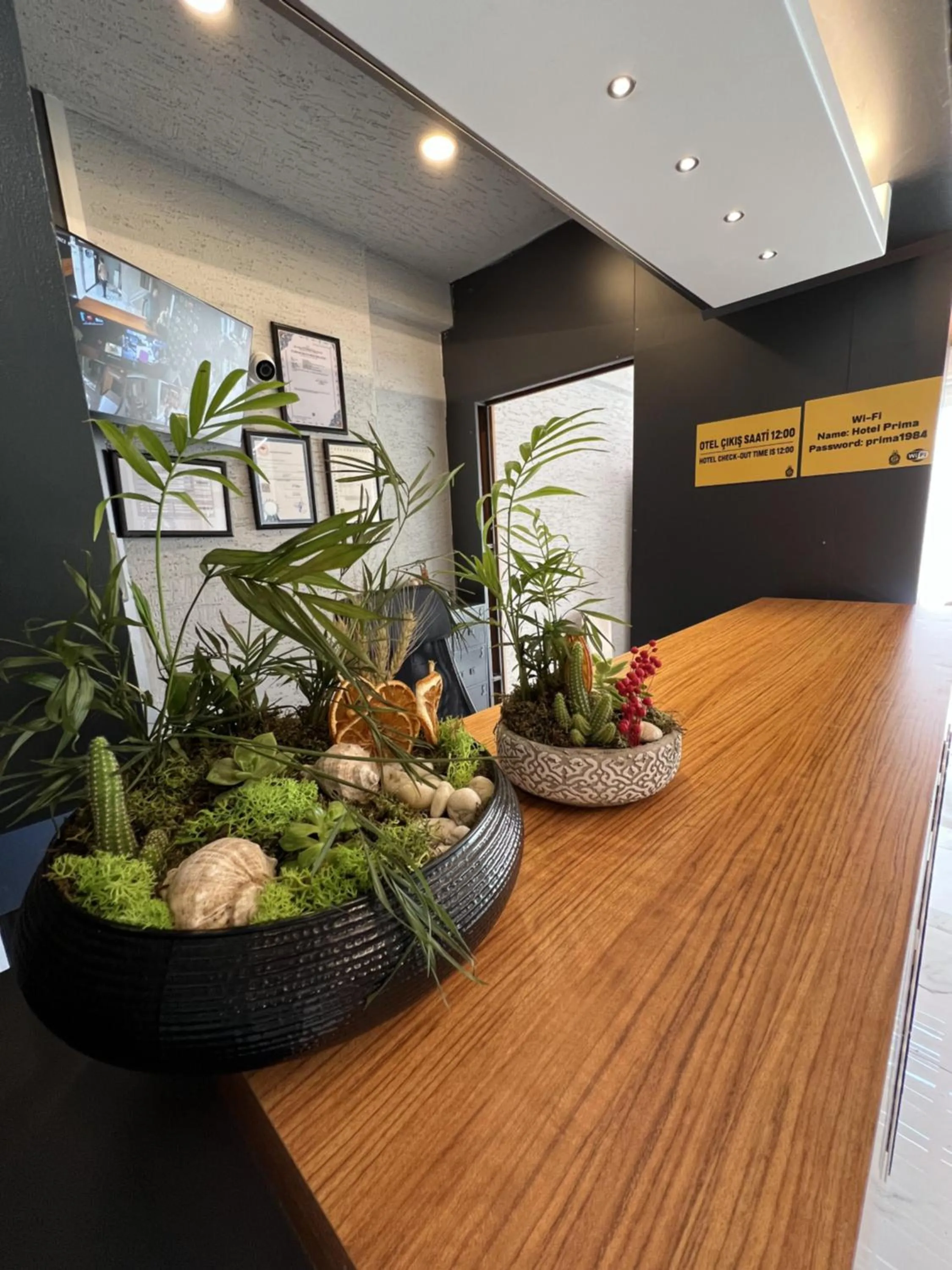 Decorative detail in Hotel Prima