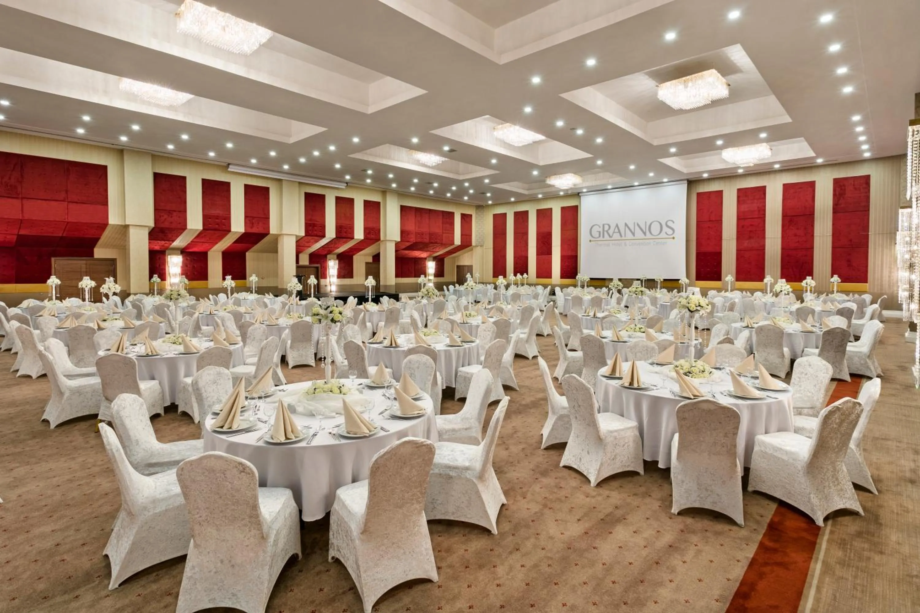Meeting/conference room in Grannos Thermal Hotel & Convention Center