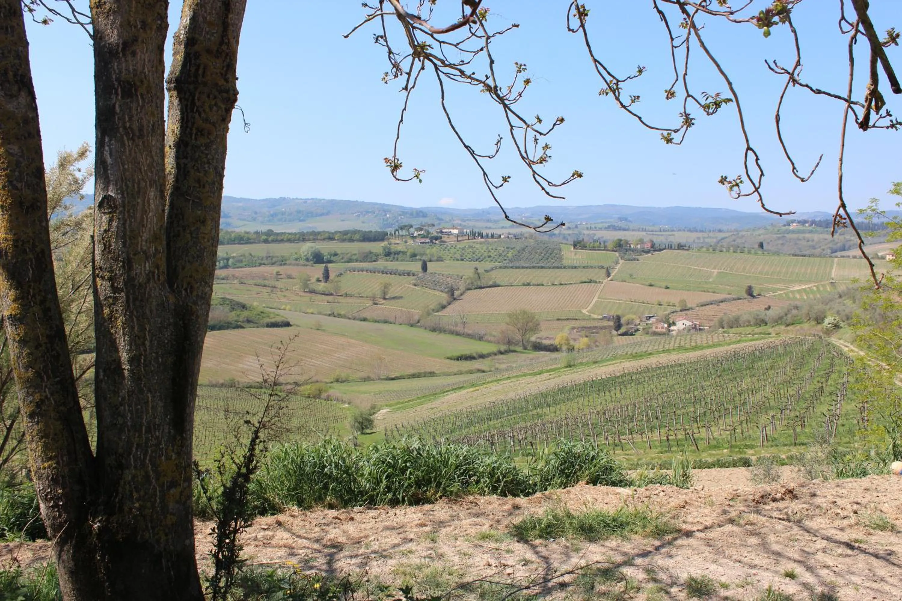 Spring in Bio Agriturismo Podere Pretoia