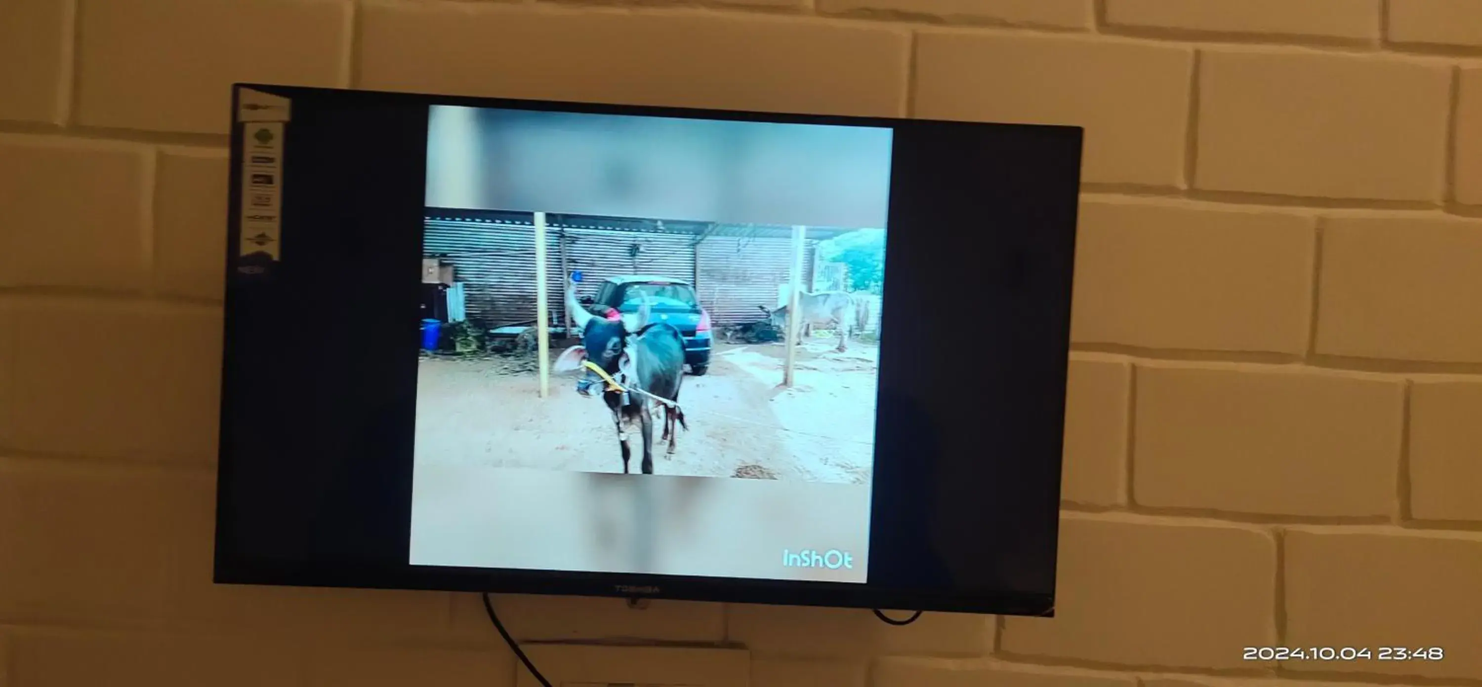 SriKrishna Paradise SriKrishna Paradise