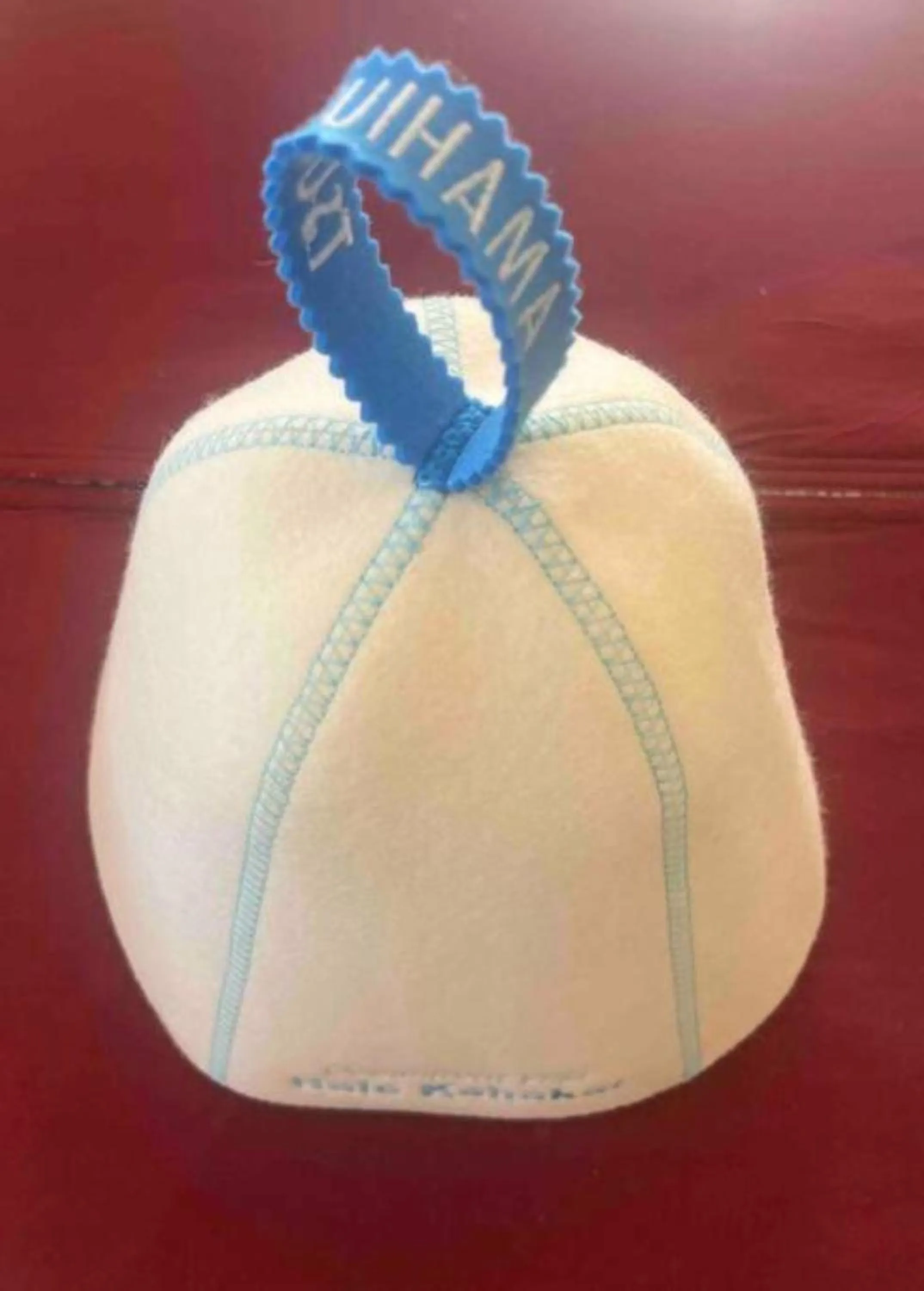 Spa and wellness centre/facilities in Oceanfront Villa Hale Kahakai プライベートサウナ