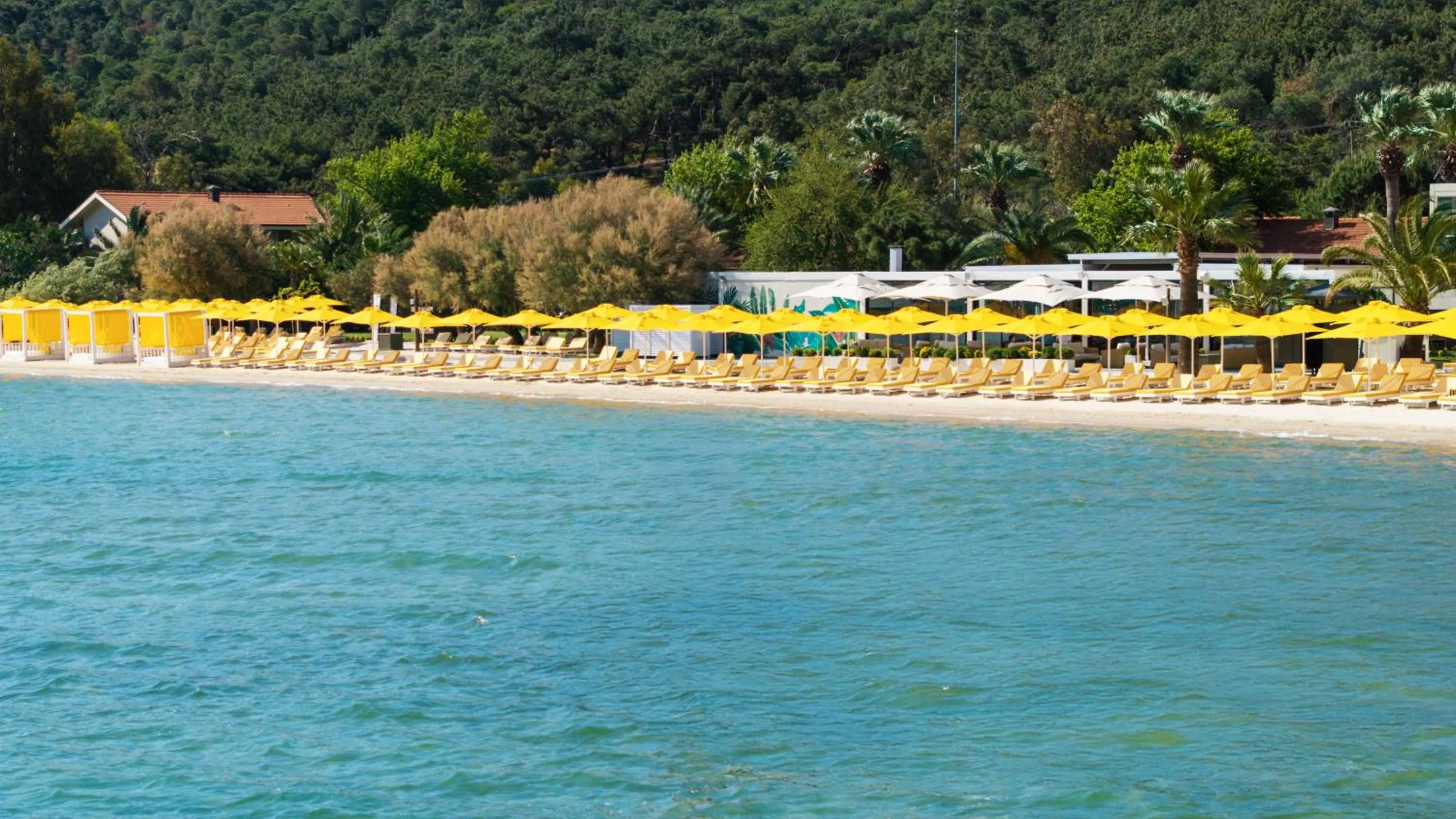 D - Resort Ayvalık