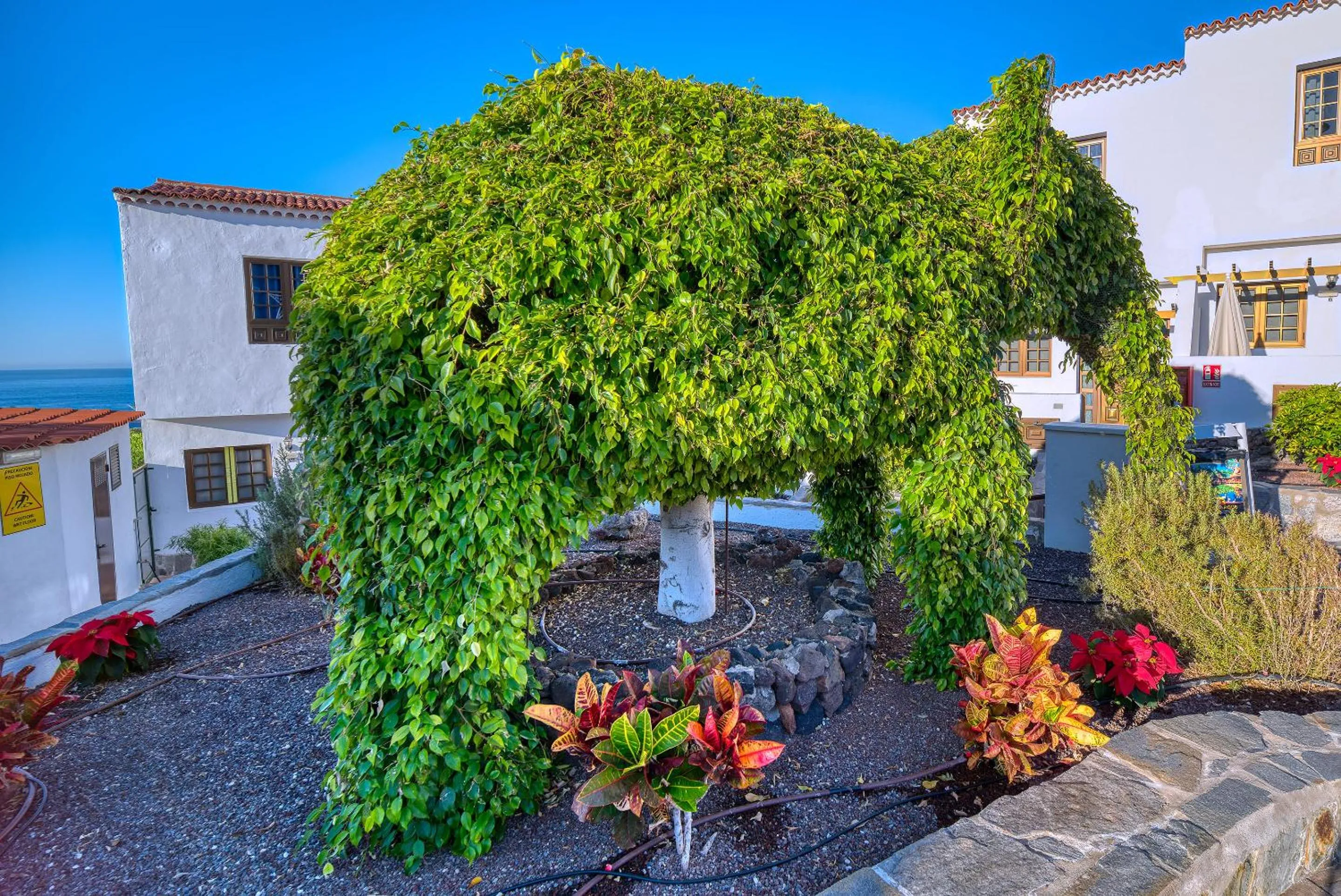 Garden in Ona Las Rosas