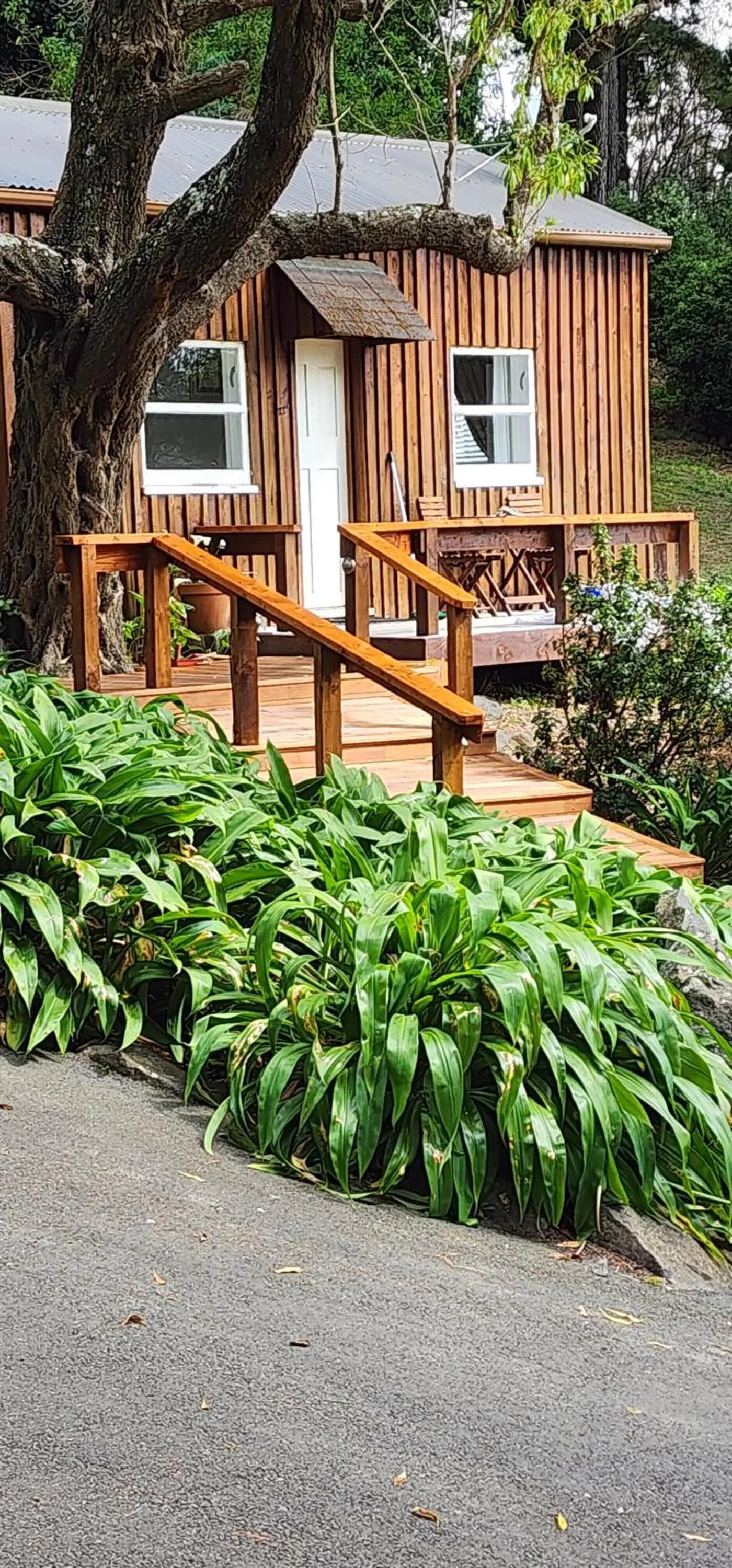 View (from property/room) in Mt Vernon