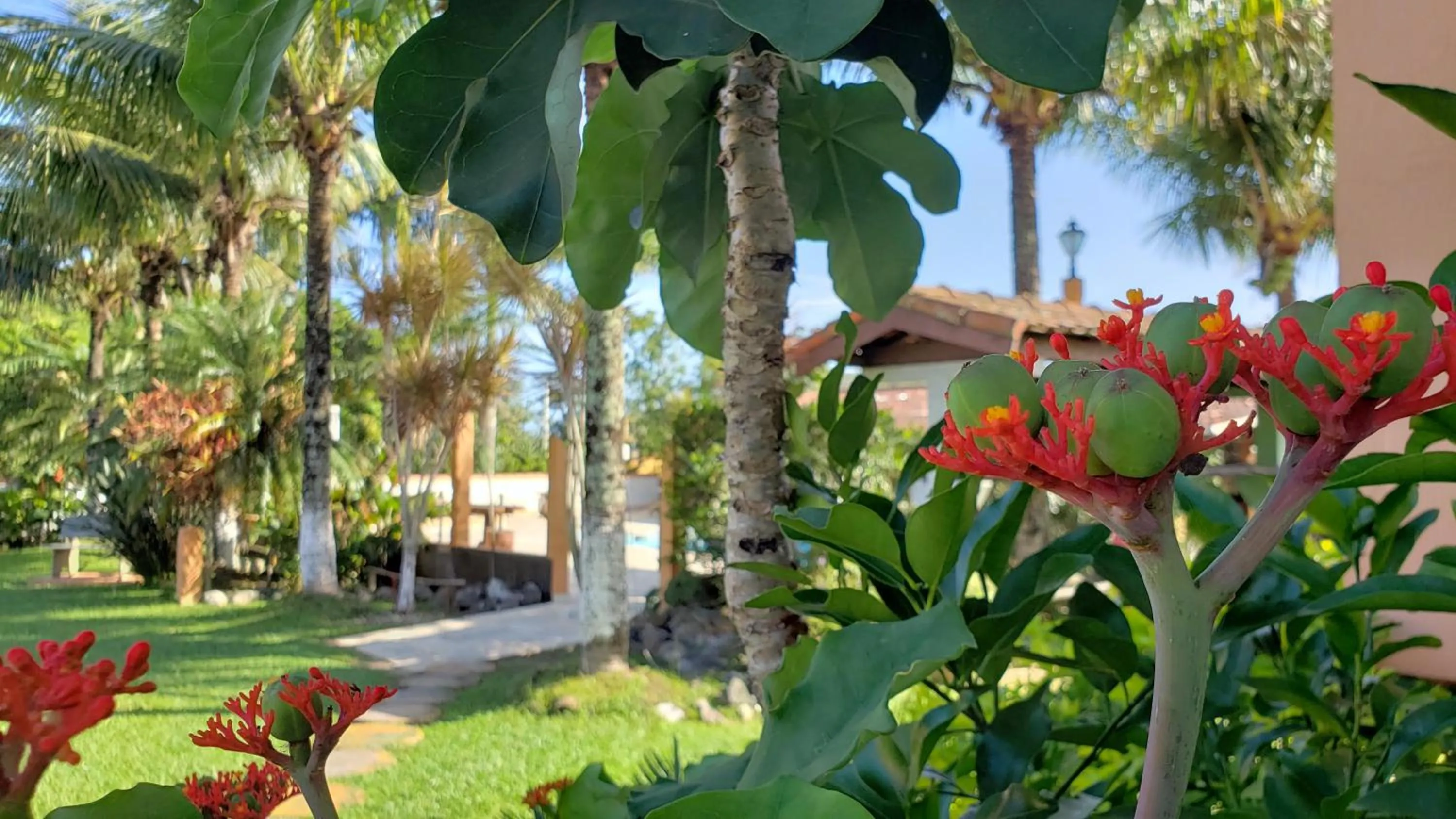 Spring in Pousada Atelier Aly da Costa