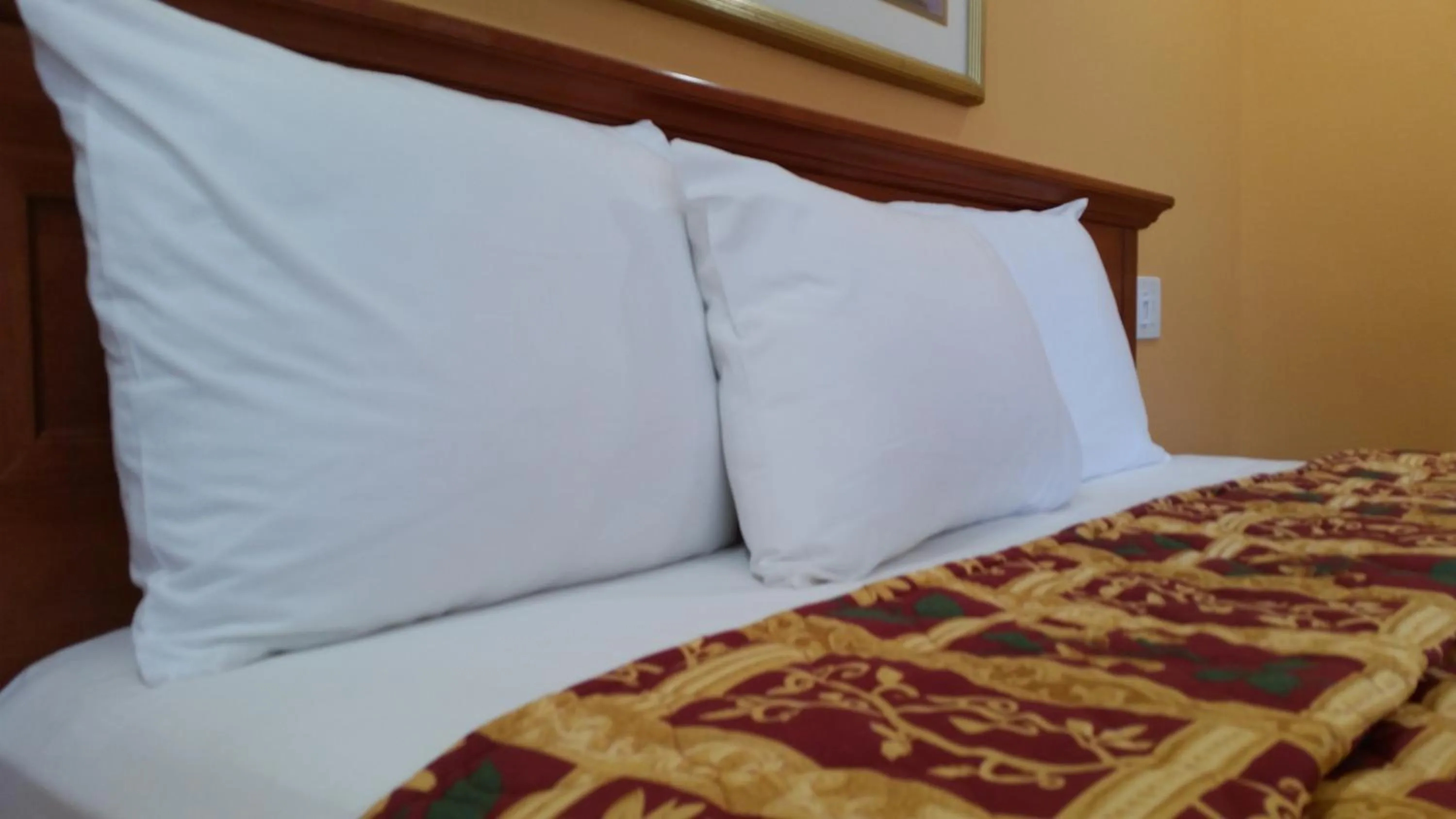 Decorative detail, Bed in Kona Inn Motel Anaheim