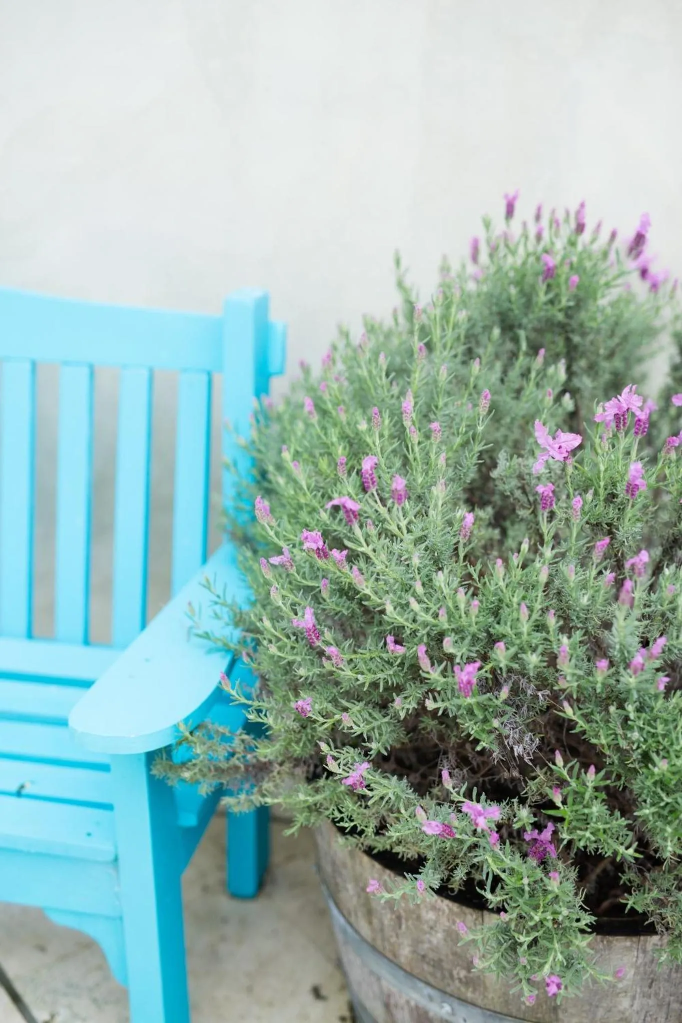 The French Country House, Tauranga