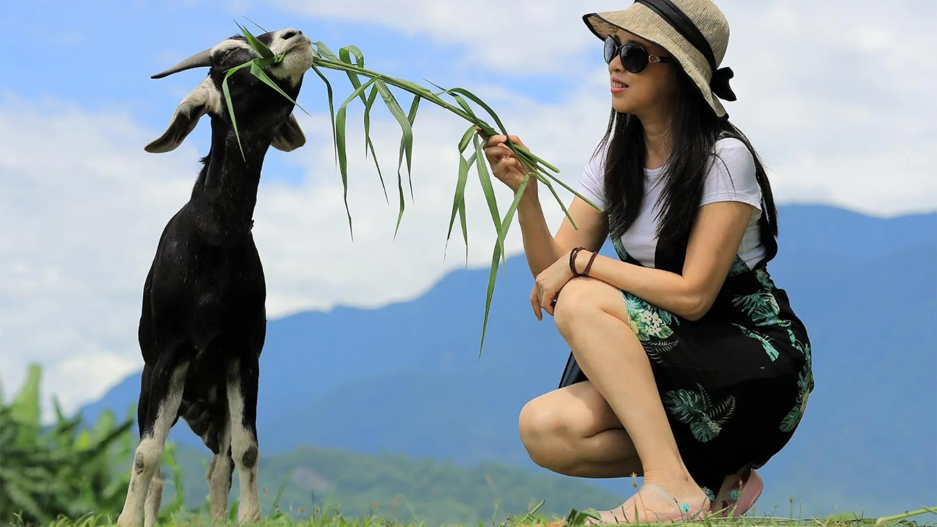 Animals in Summer Rocker Villa