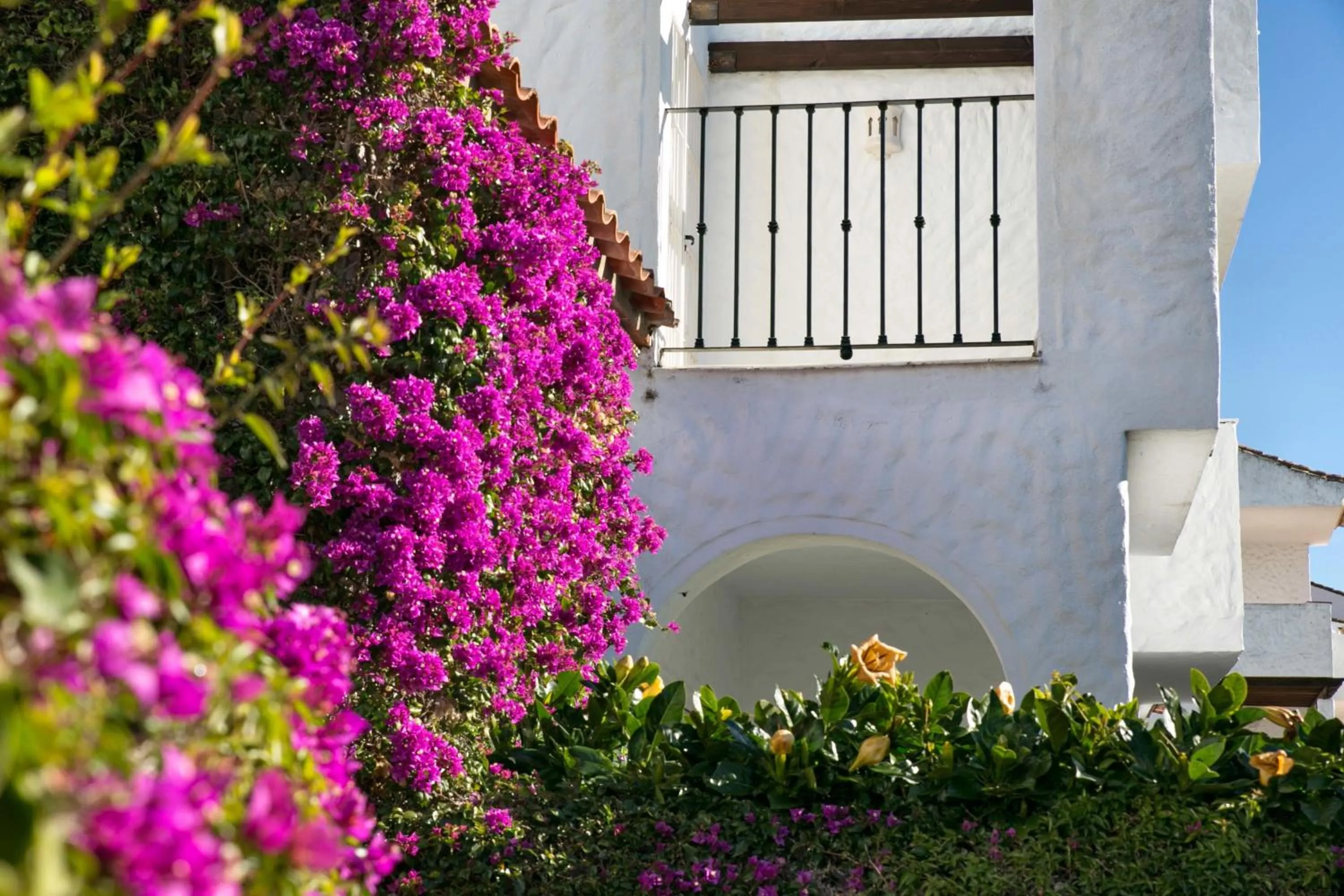 Spring in Ona Club Bena Vista