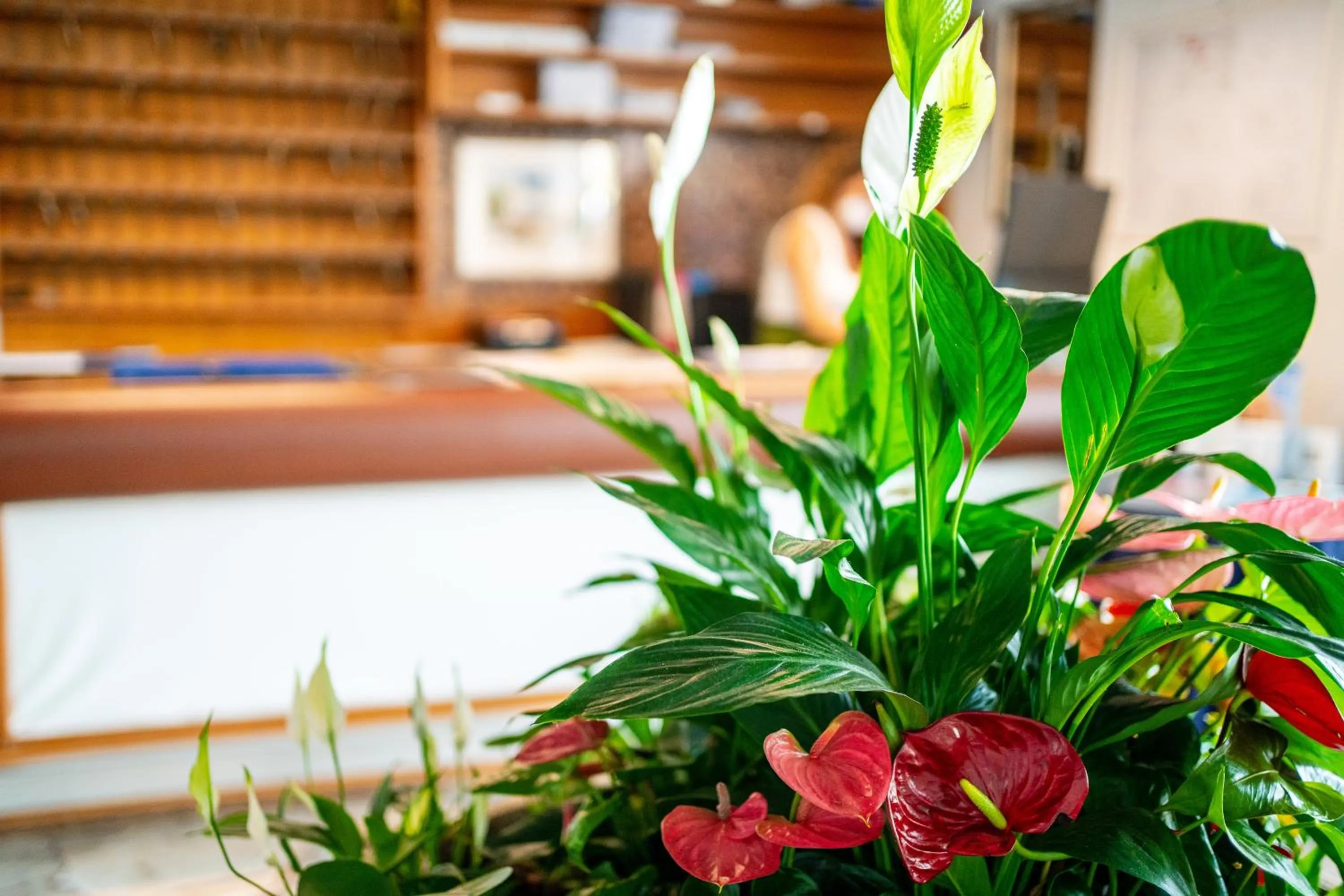 Lobby or reception in Hotel Stacchini