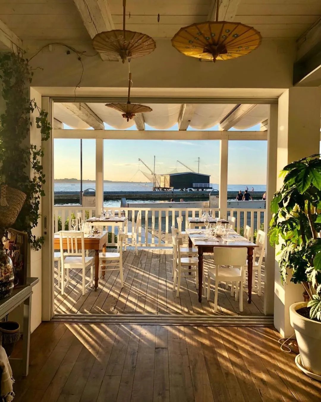 Restaurant/places to eat in Hotel Stacchini