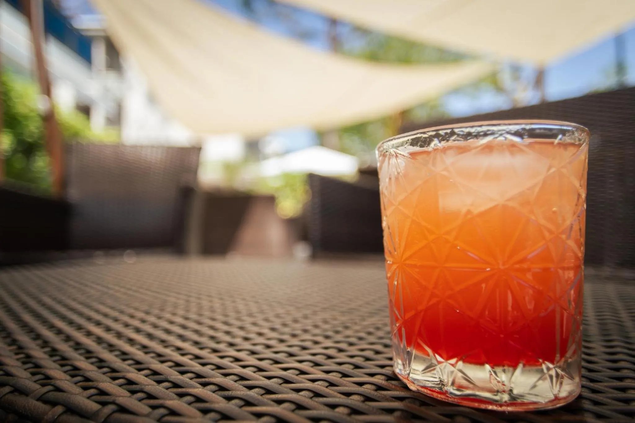 Garden in Hotel Stacchini