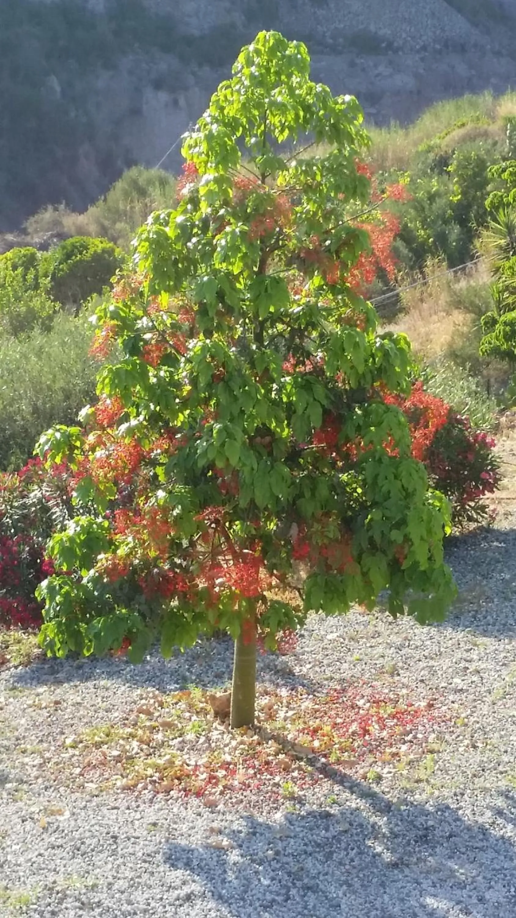 B&B Villa Maristella