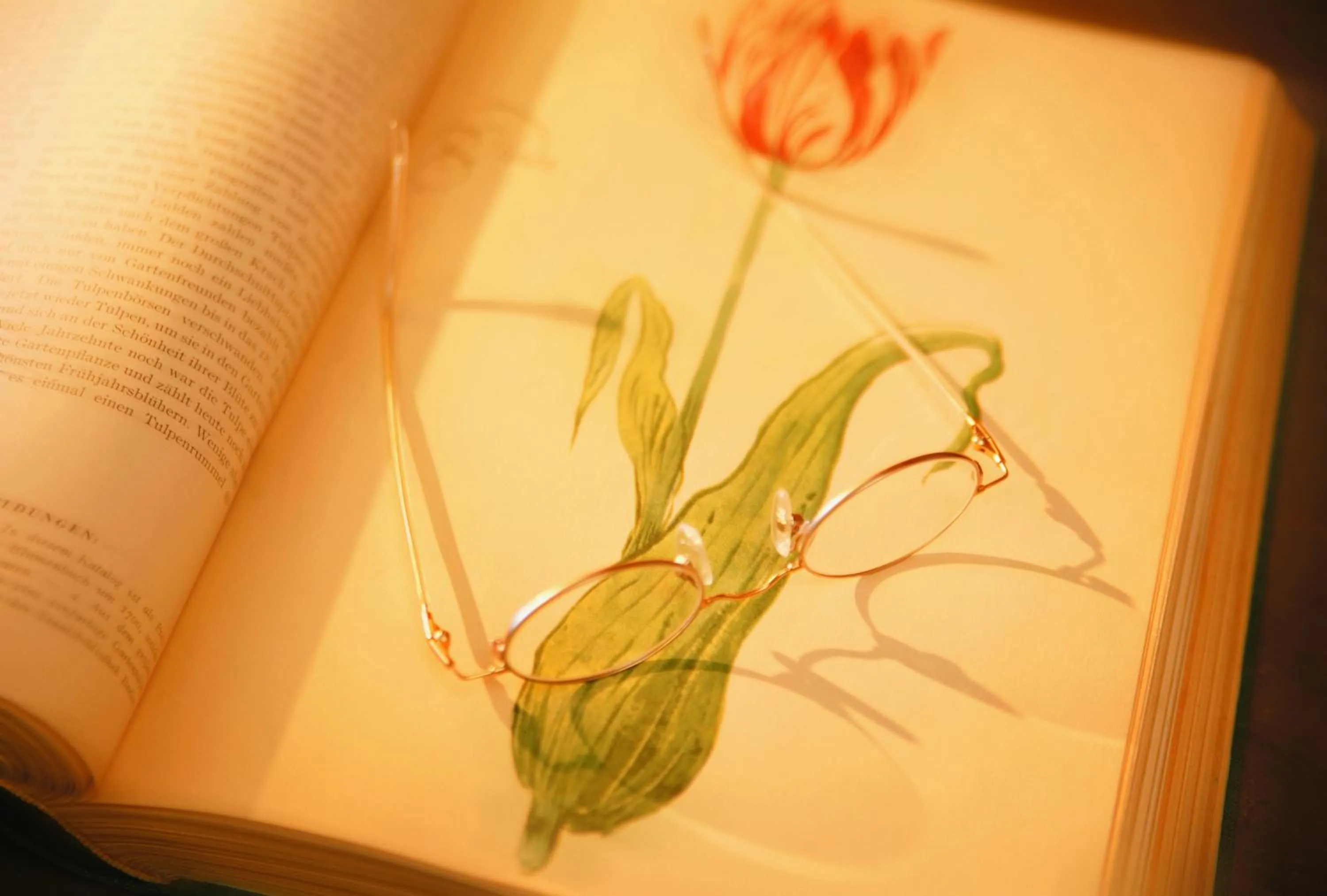 Other in Hotel Tschurtschenthaler