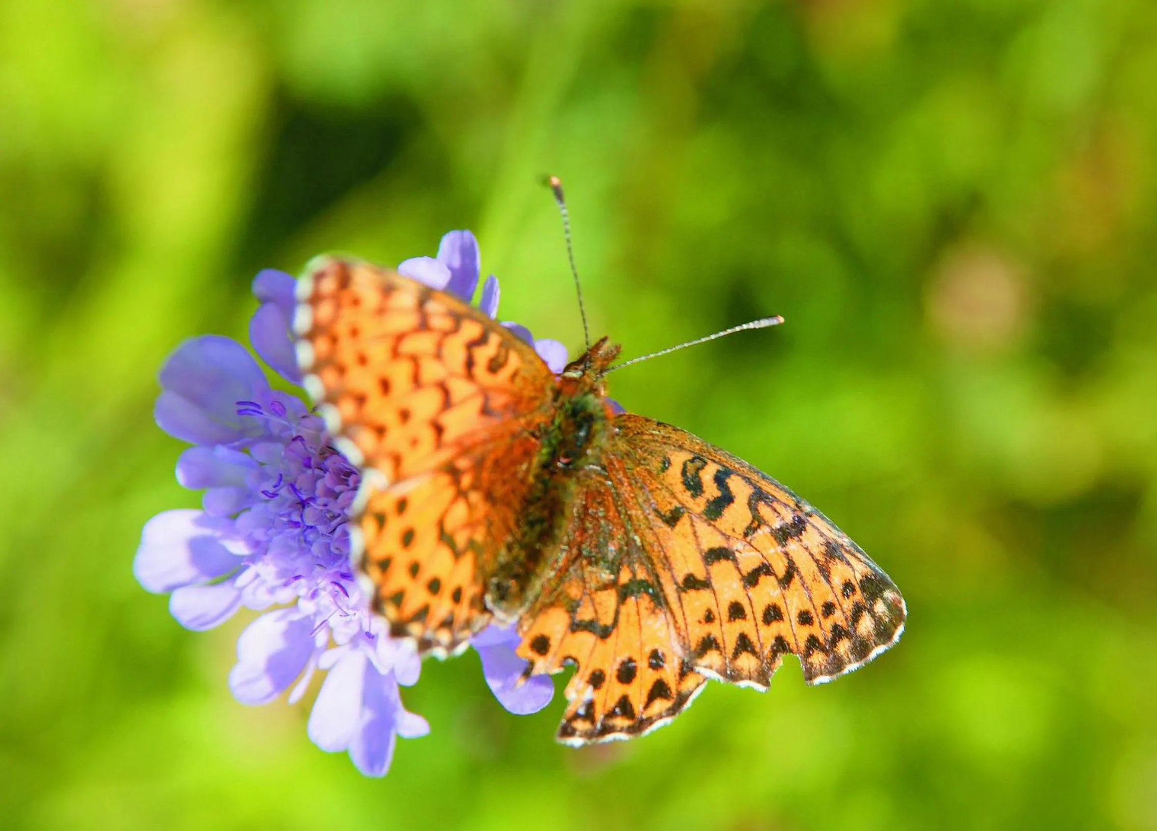 Other in Hotel Tschurtschenthaler