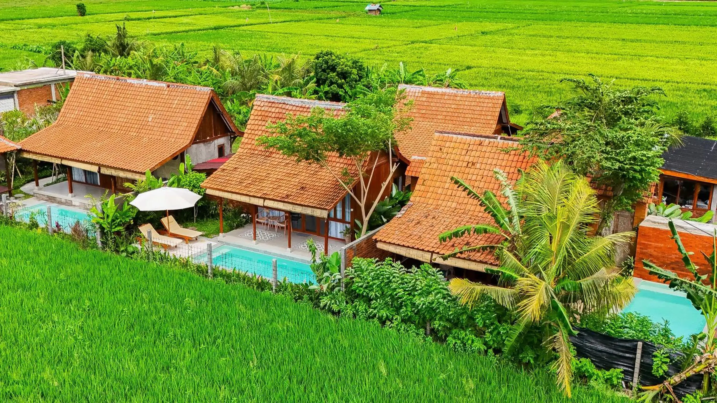 Rumah Tengah Sawah Bali Rumah Tengah Sawah Bali