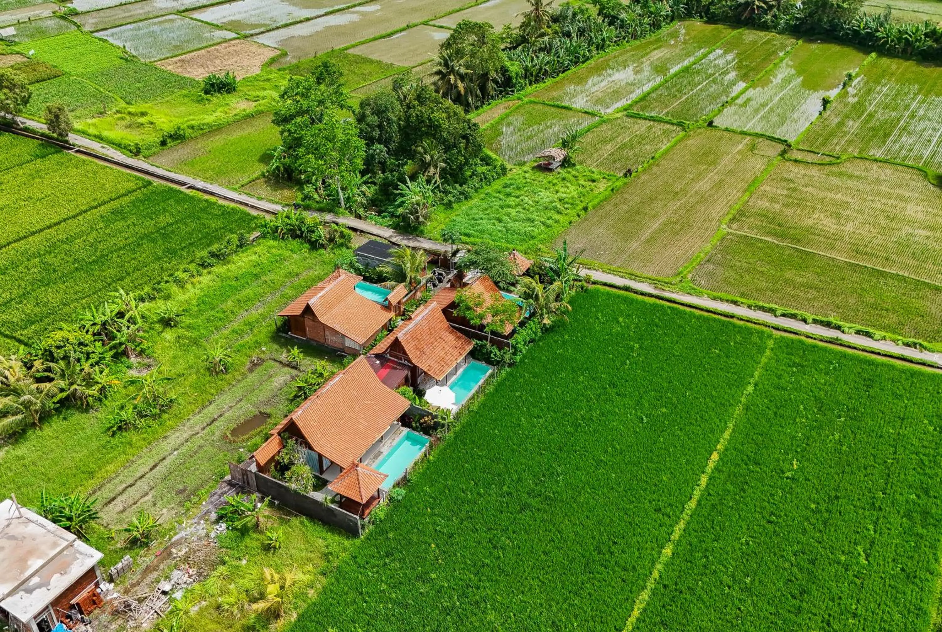Rumah Tengah Sawah Bali