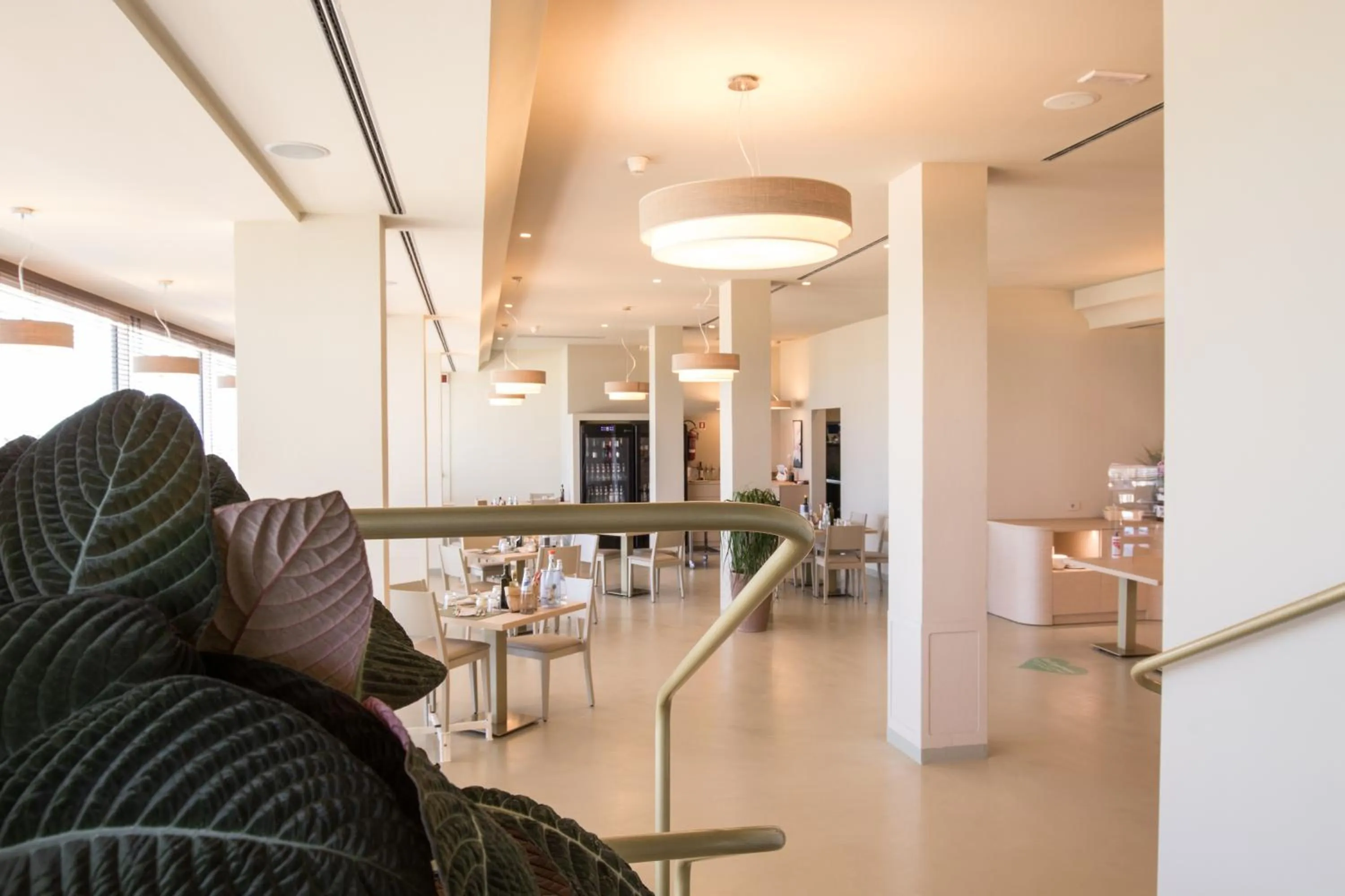 Restaurant/places to eat in Hotel Baya - in centro, sul mare