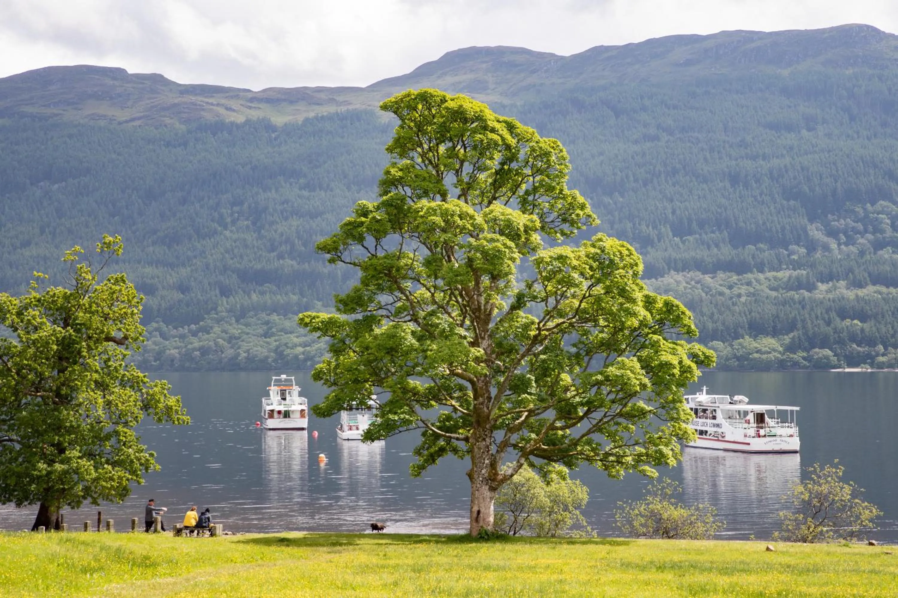 Day in The Tarbet Hotel