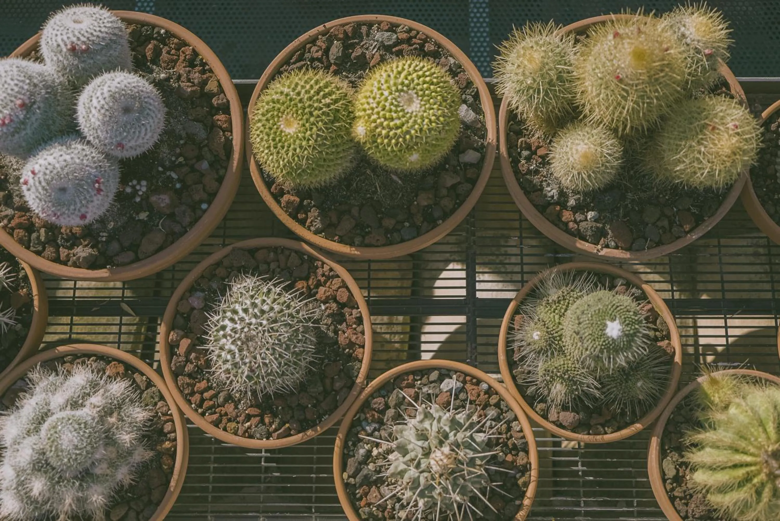 Garden in Residence Terra Rossa Taormina