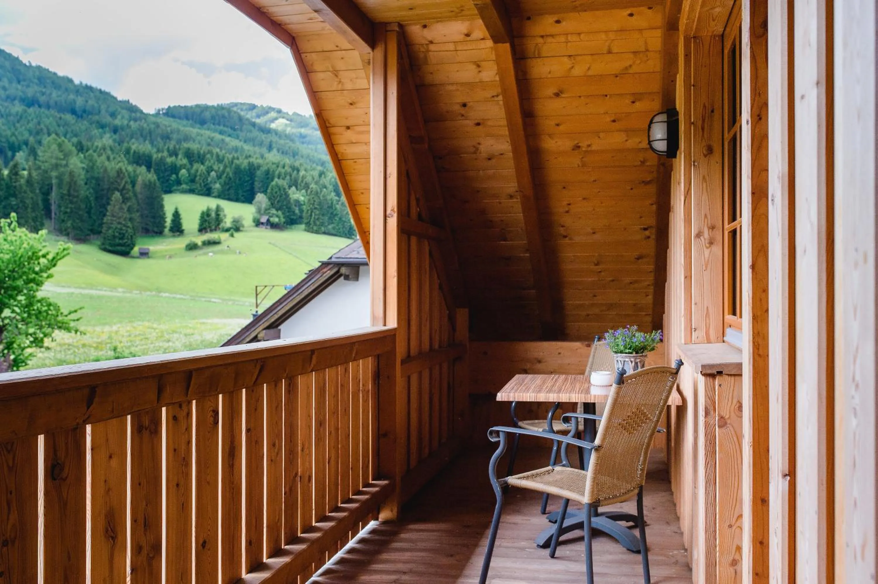 Natural landscape in Appartements Stranach