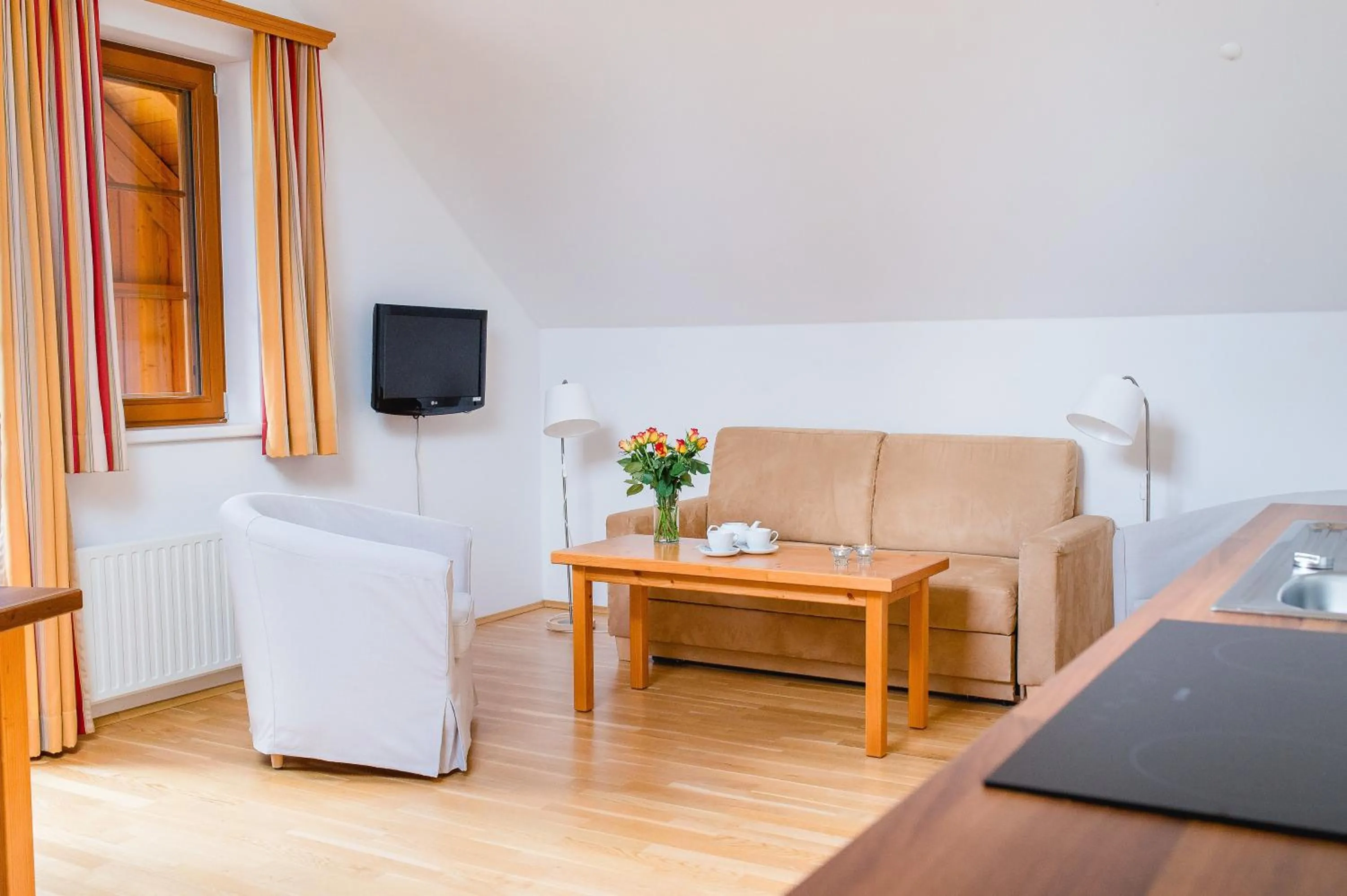 TV and multimedia in Appartements Stranach