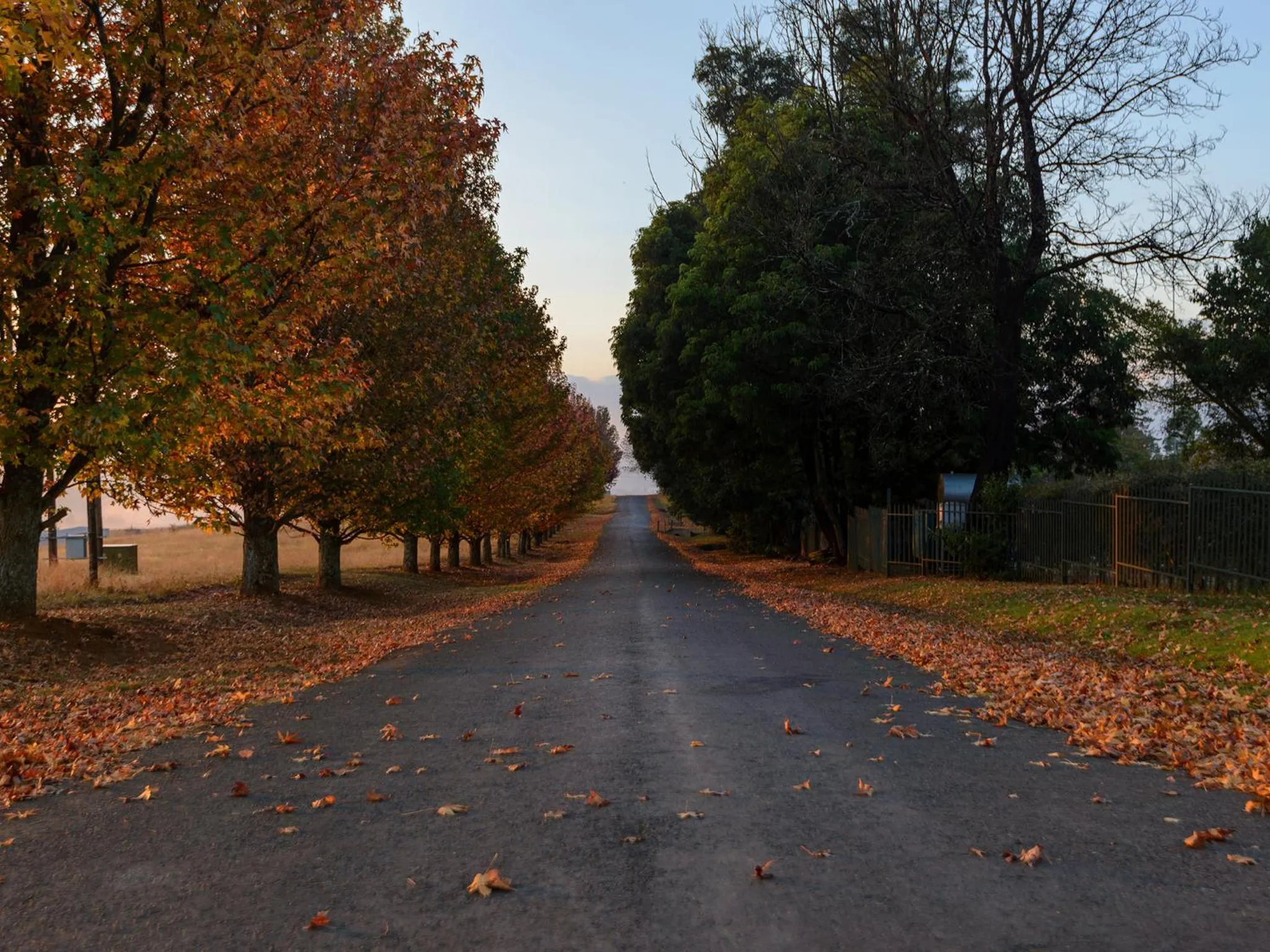 Street view in Cayley Mountain Resort