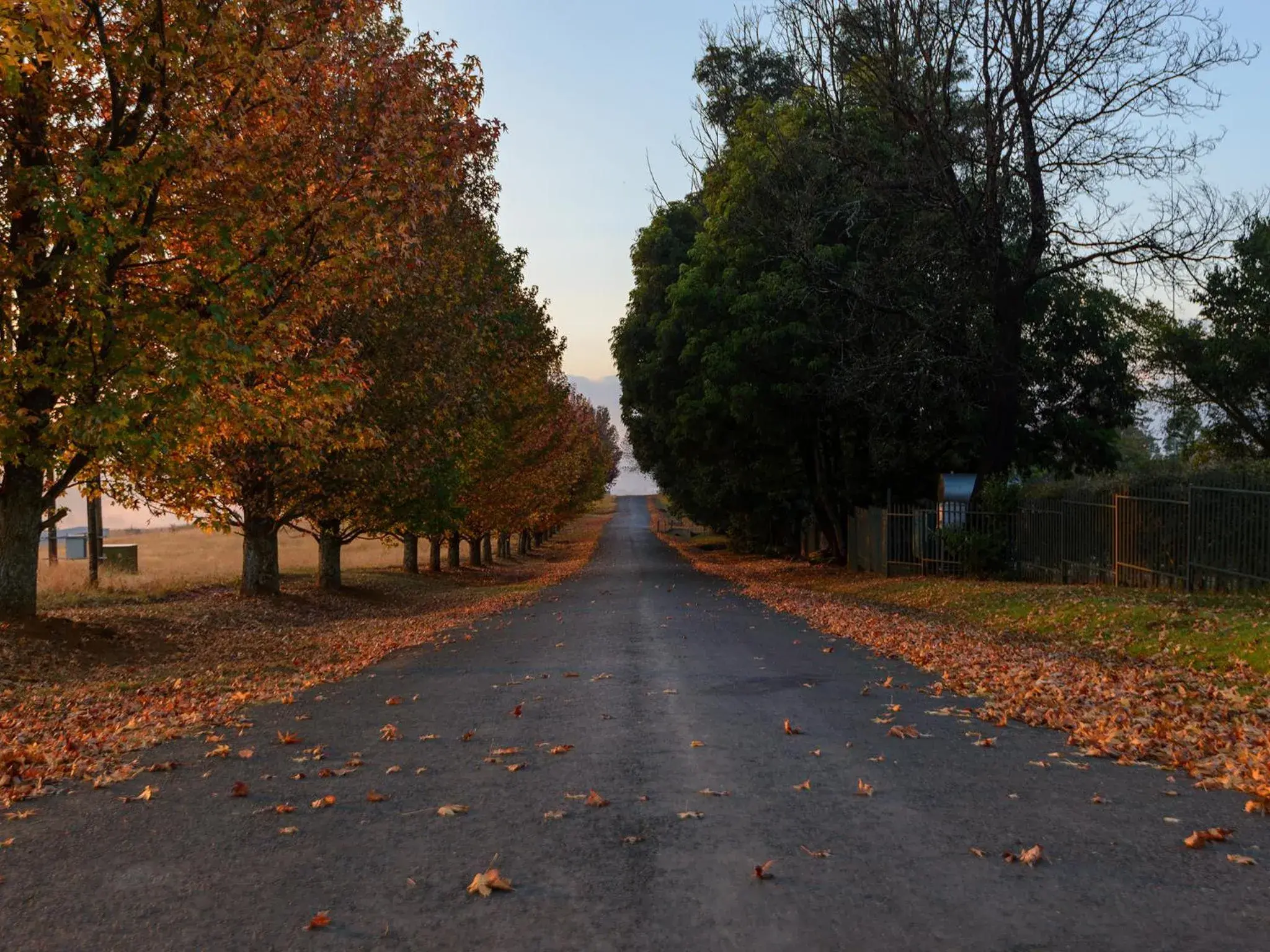 Street view in Cayley Mountain Resort Street view in Cayley Mountain Resort