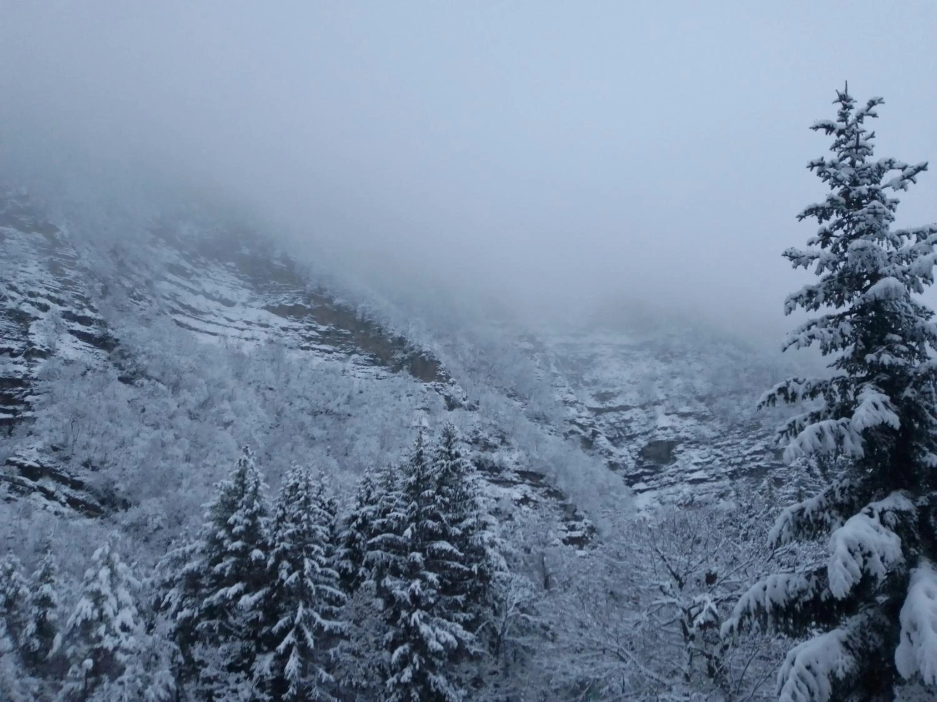 View (from property/room) in Residence Giardino