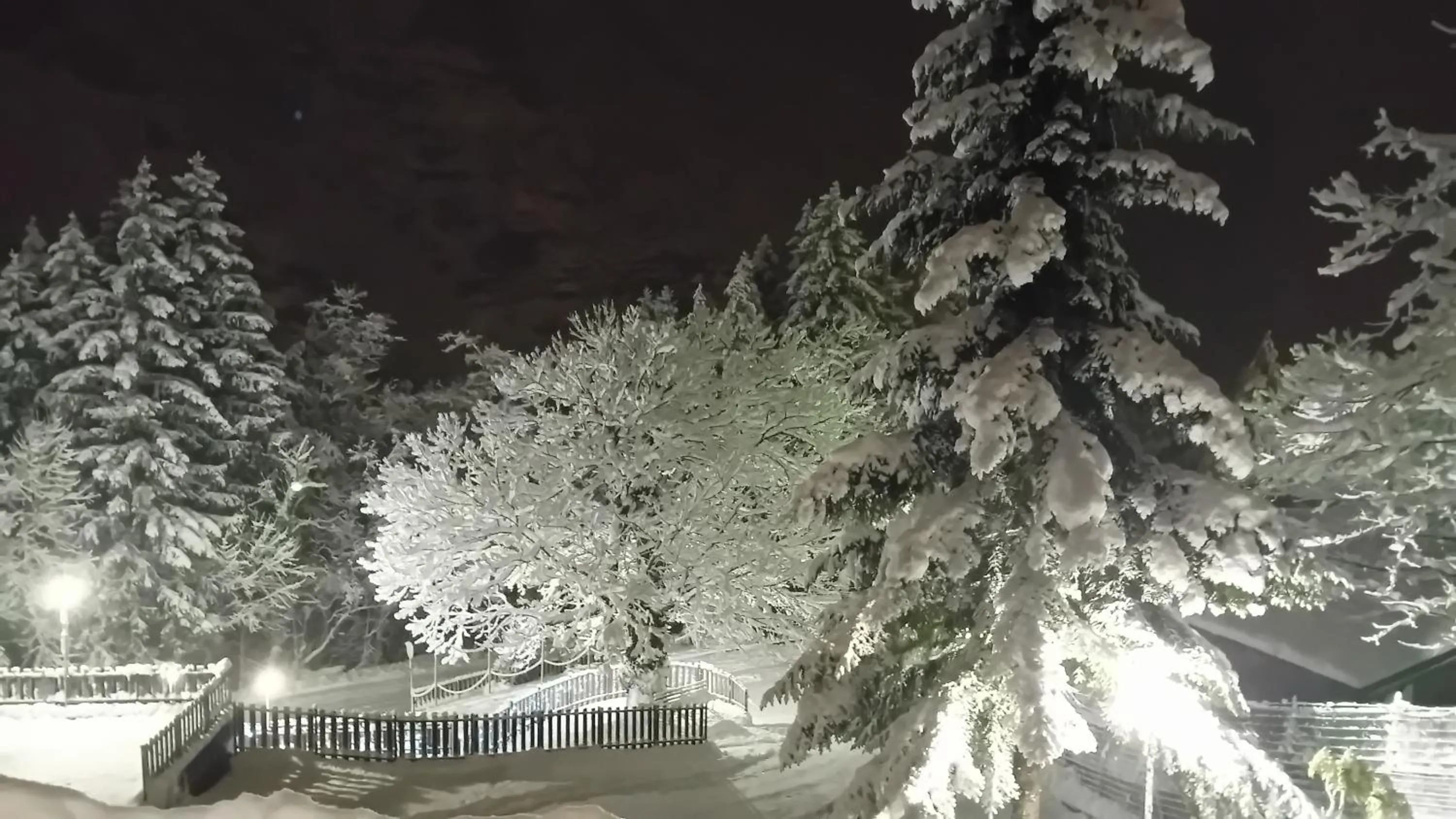 Winter in Residence Giardino