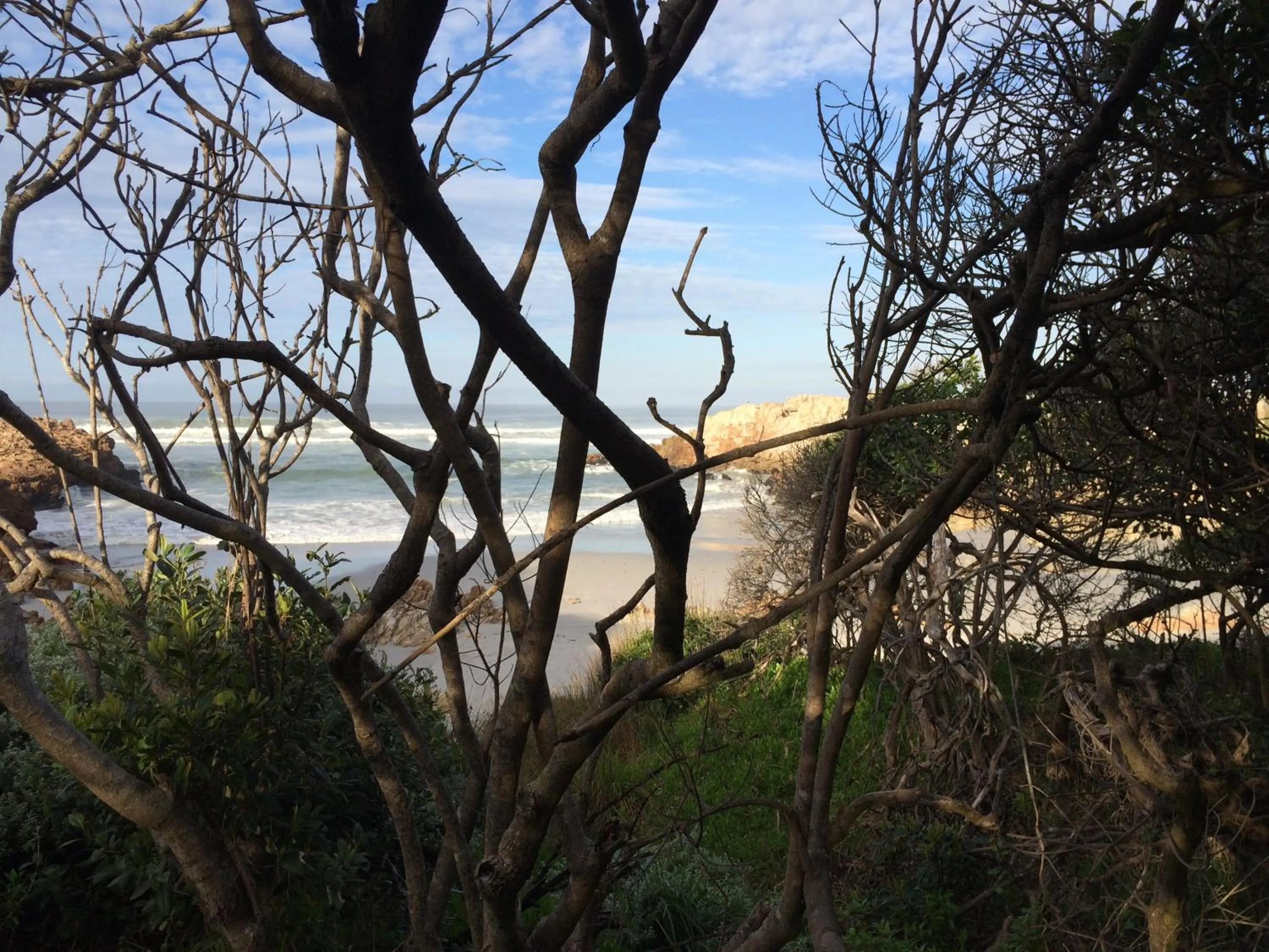 Nearby landmark in Hermanus Backpackers & Budget Accommodation