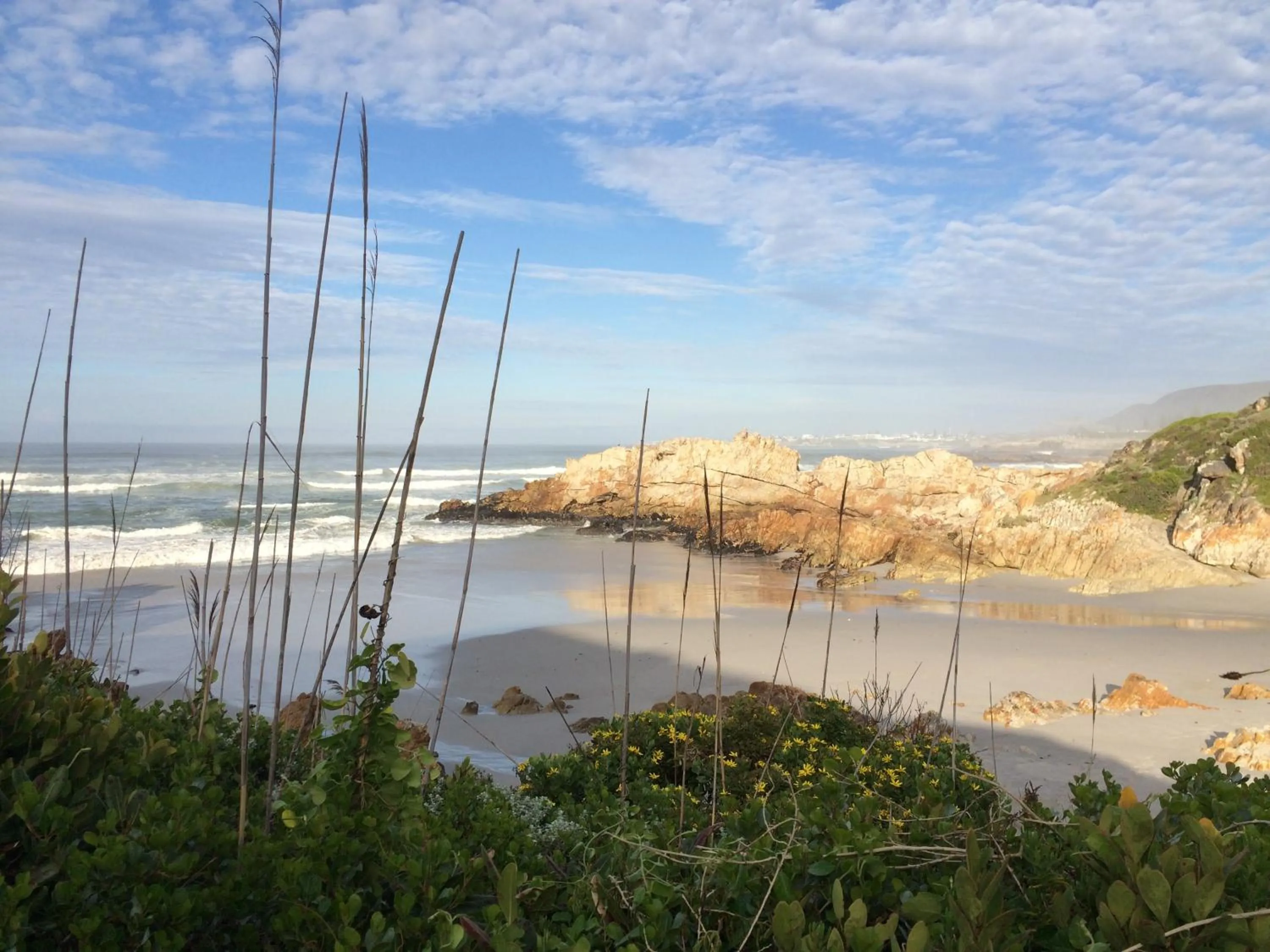 Nearby landmark in Hermanus Backpackers & Budget Accommodation